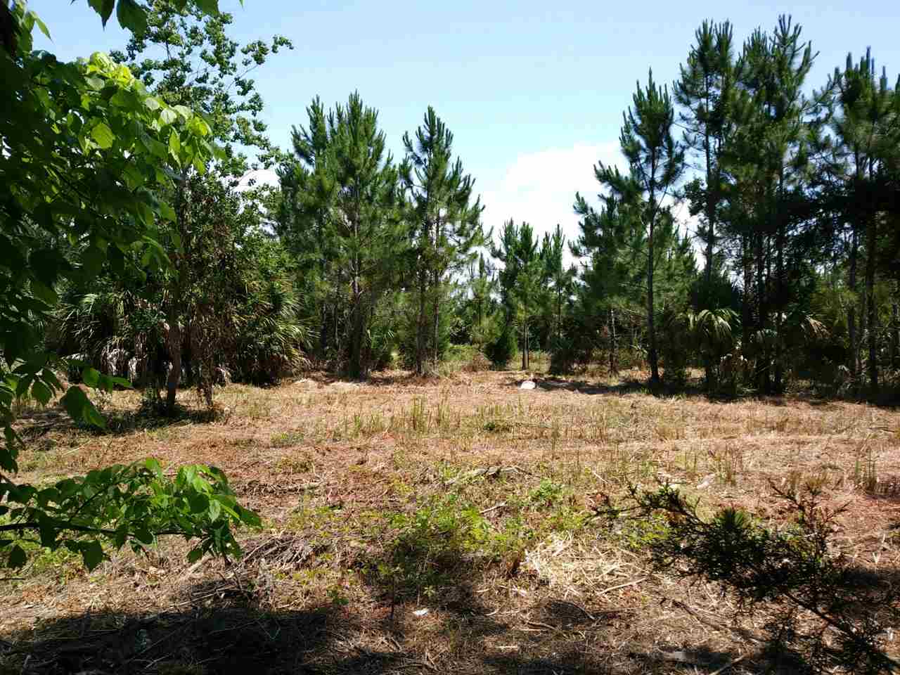 380 Cedar Island Road, Unit CEDAR ISLAND SANDPIPER Perry, FL 32348 - Photo 2 of 6 Gallery Image 2