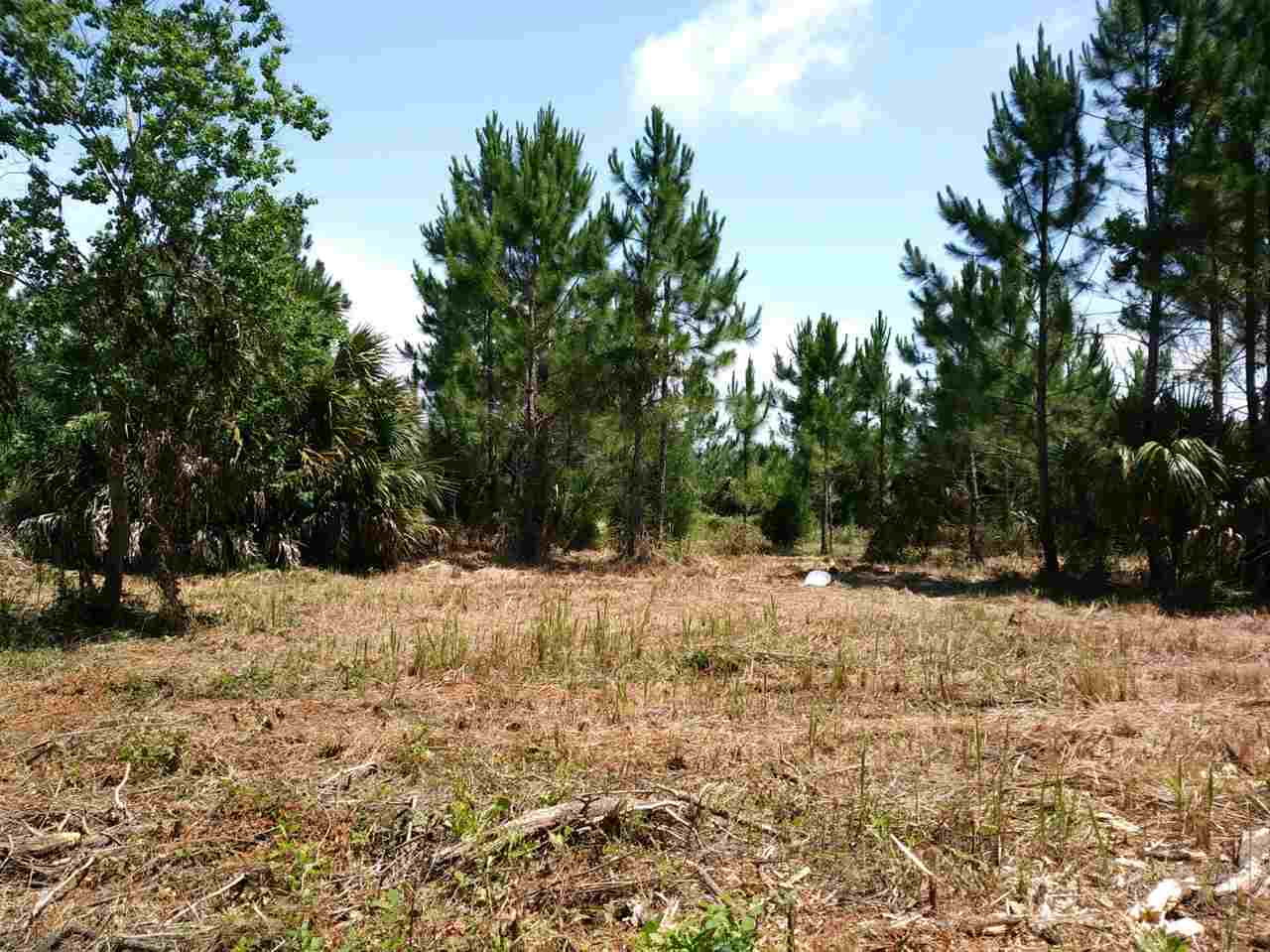 380 Cedar Island Road, Unit CEDAR ISLAND SANDPIPER Perry, FL 32348 - Photo 5 of 6 Gallery Image 5
