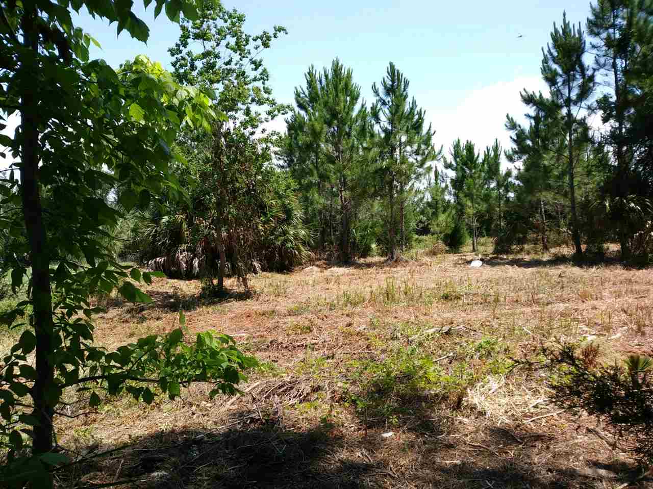 380 Cedar Island Road, Unit CEDAR ISLAND SANDPIPER Perry, FL 32348 - Photo 6 of 6 Gallery Image 6