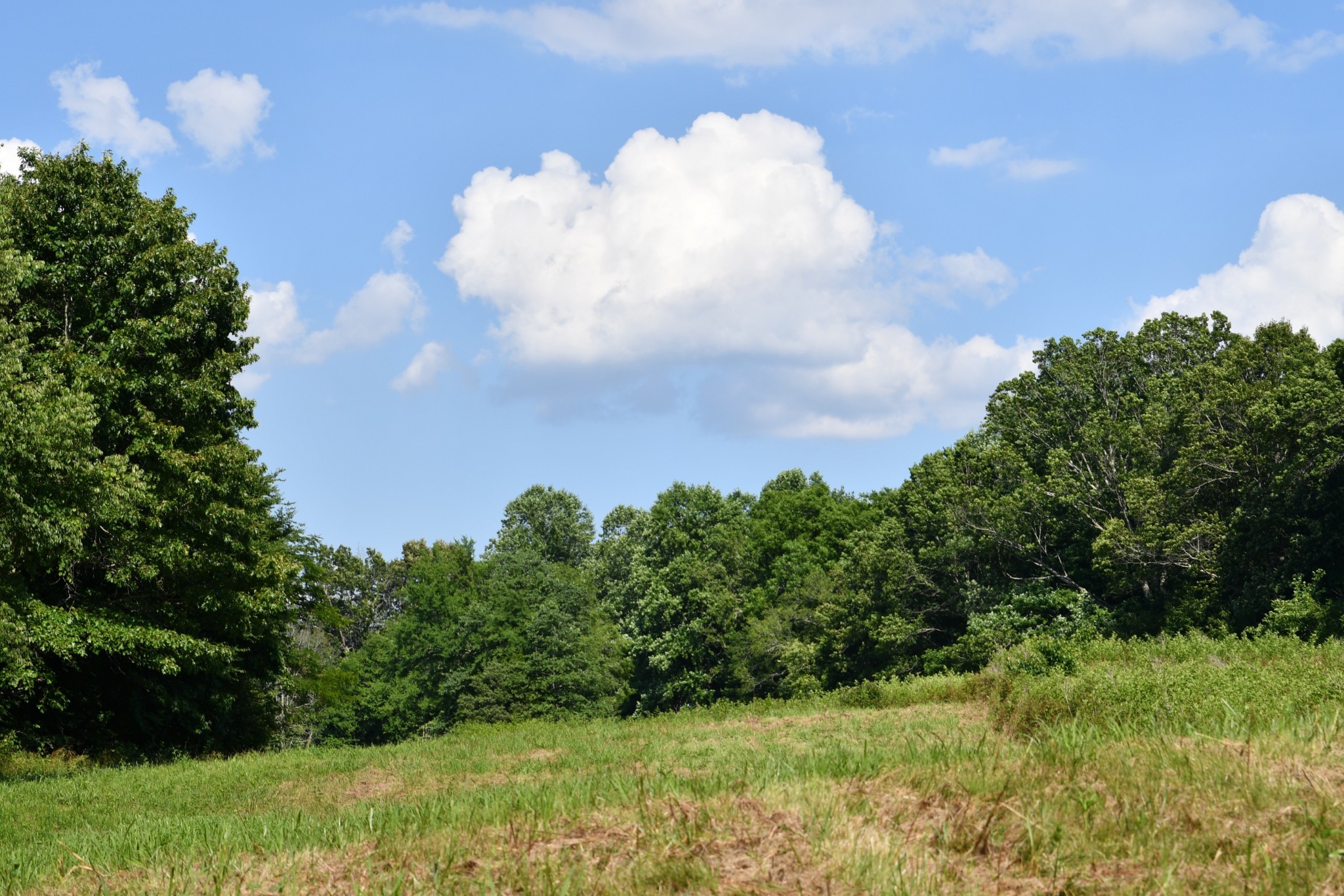 1613 Groveland Ridge Road Columbia, TN 38401 - Photo 16 of 39