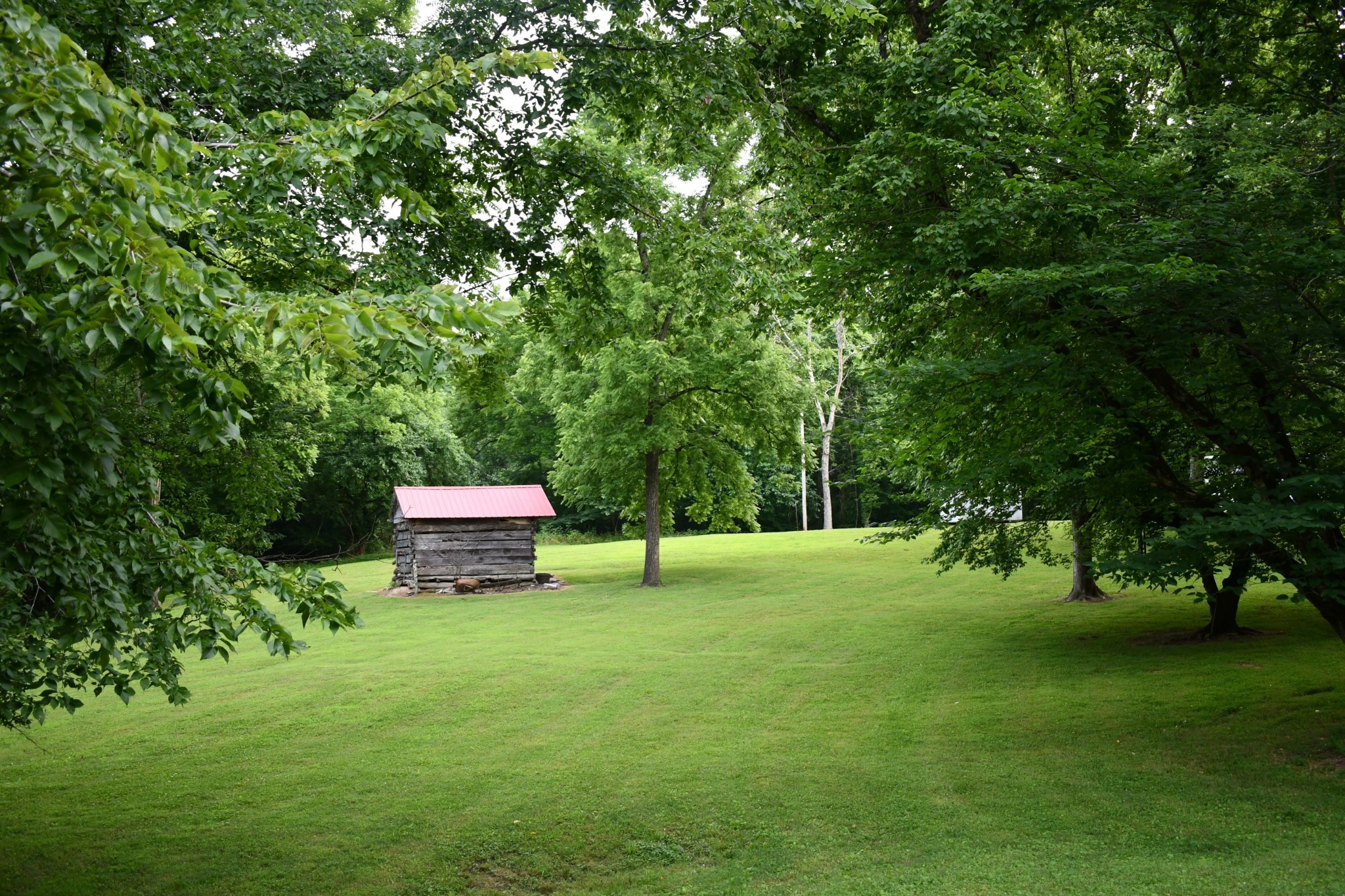 1613 Groveland Ridge Road Columbia, TN 38401 - Photo 17 of 39