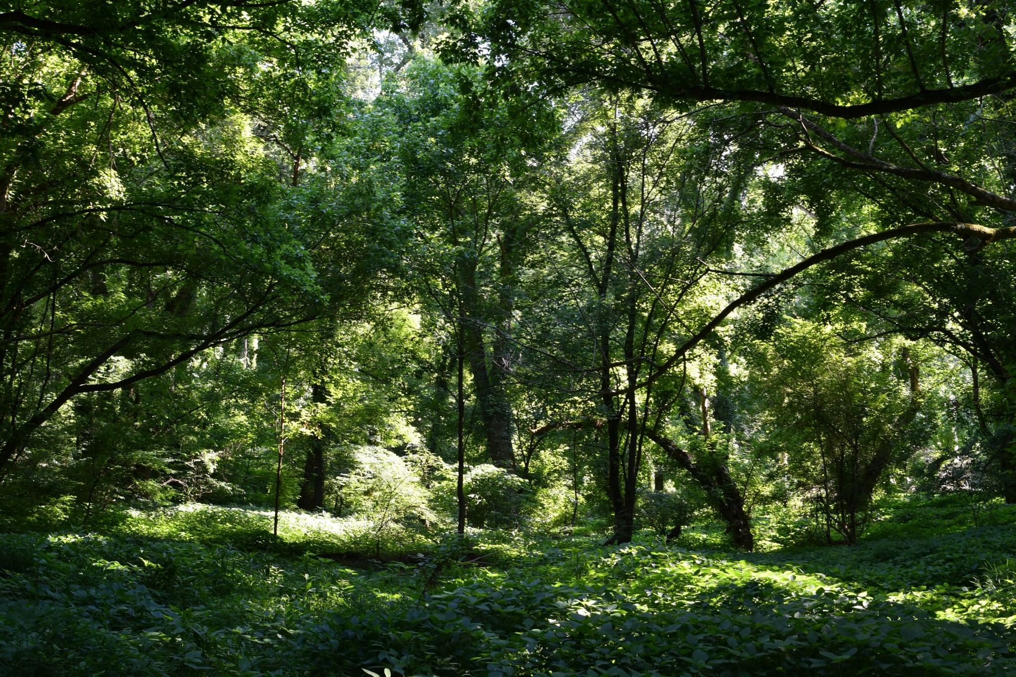 1613 Groveland Ridge Road Columbia, TN 38401 - Photo 18 of 39