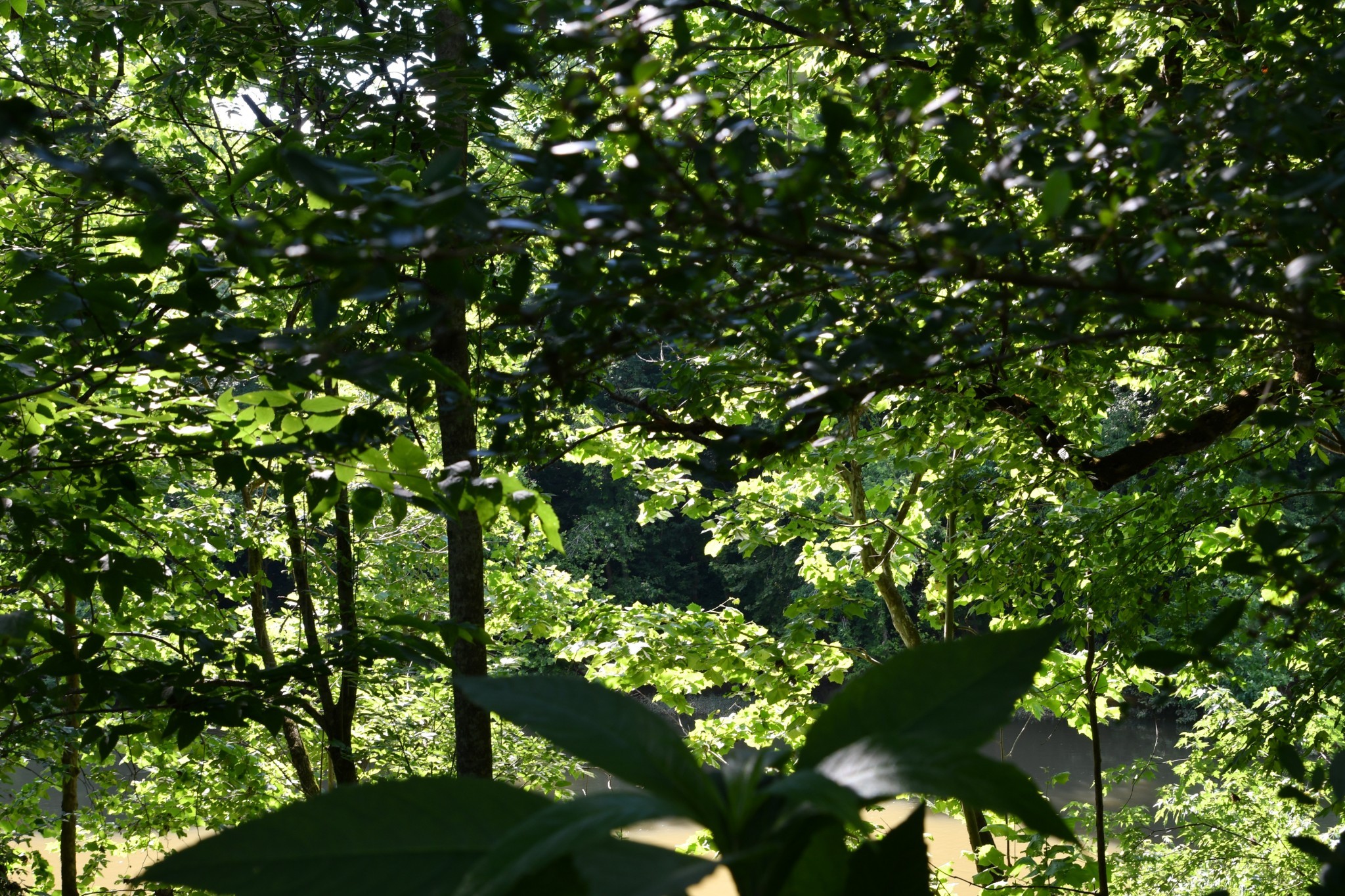 1613 Groveland Ridge Road Columbia, TN 38401 - Photo 24 of 39