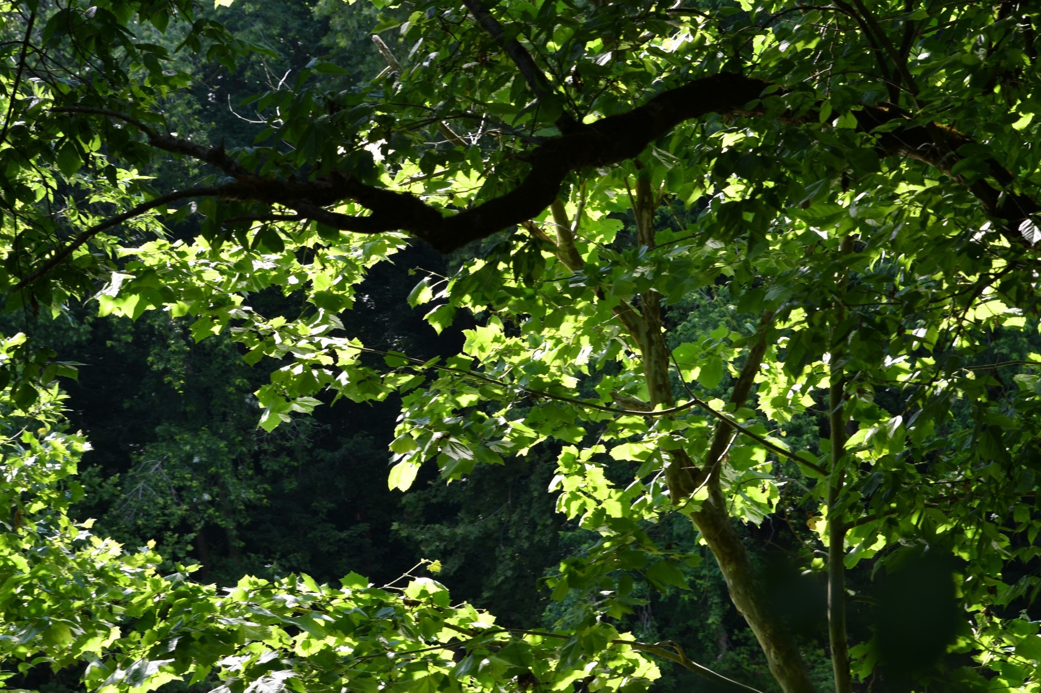 1613 Groveland Ridge Road Columbia, TN 38401 - Photo 25 of 39