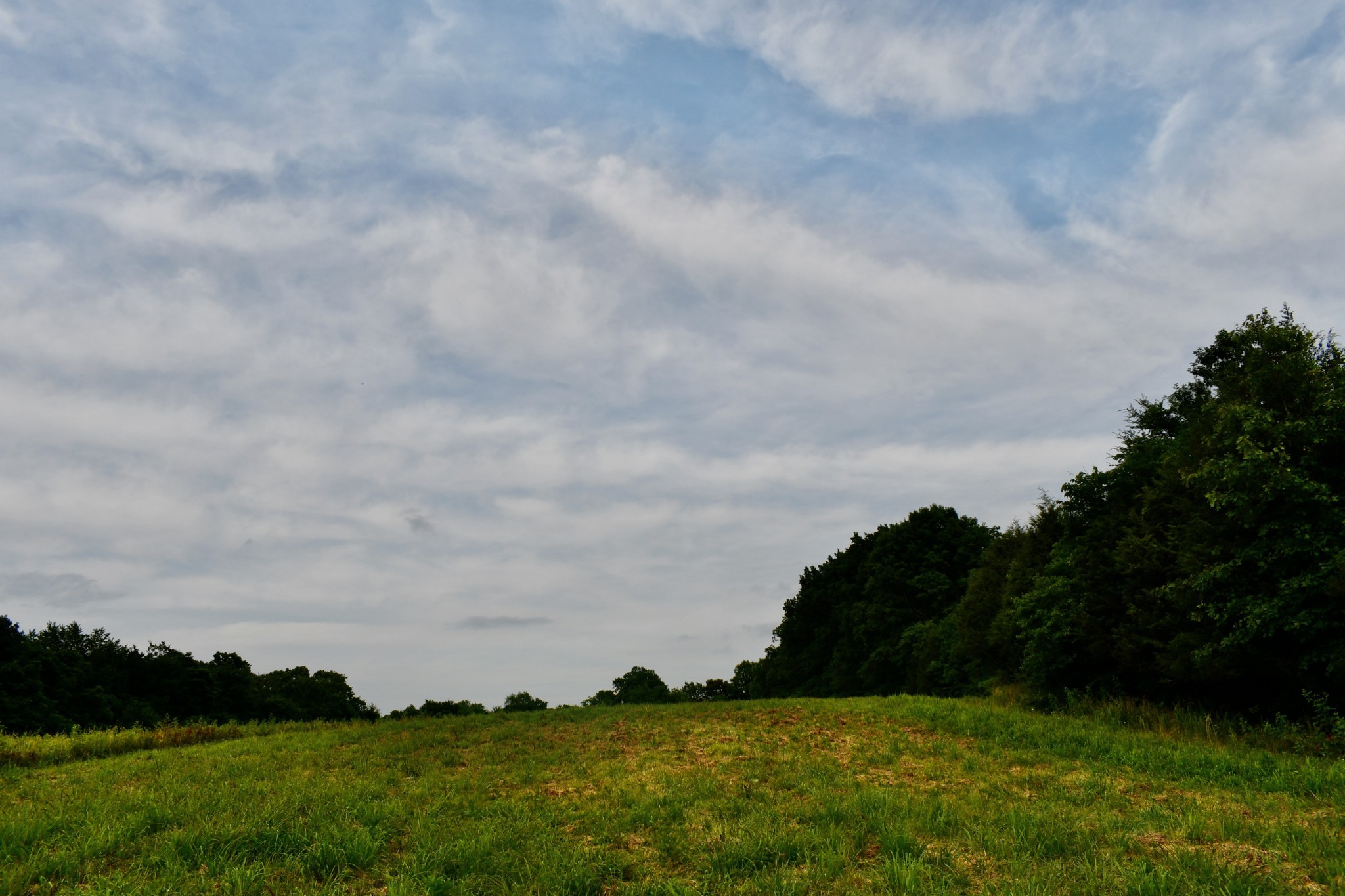 1613 Groveland Ridge Road Columbia, TN 38401 - Photo 26 of 39