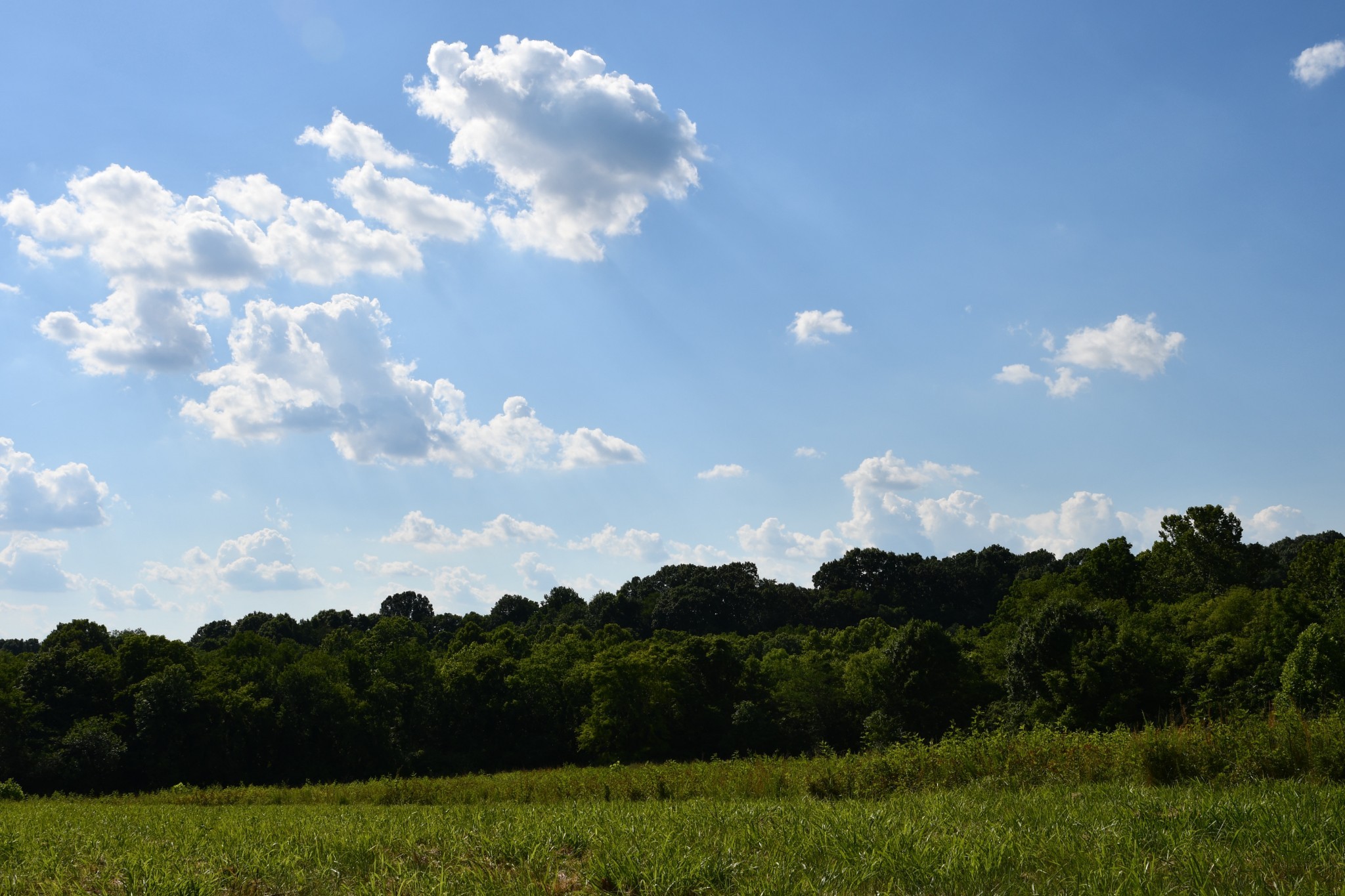 1613 Groveland Ridge Road Columbia, TN 38401 - Photo 30 of 39