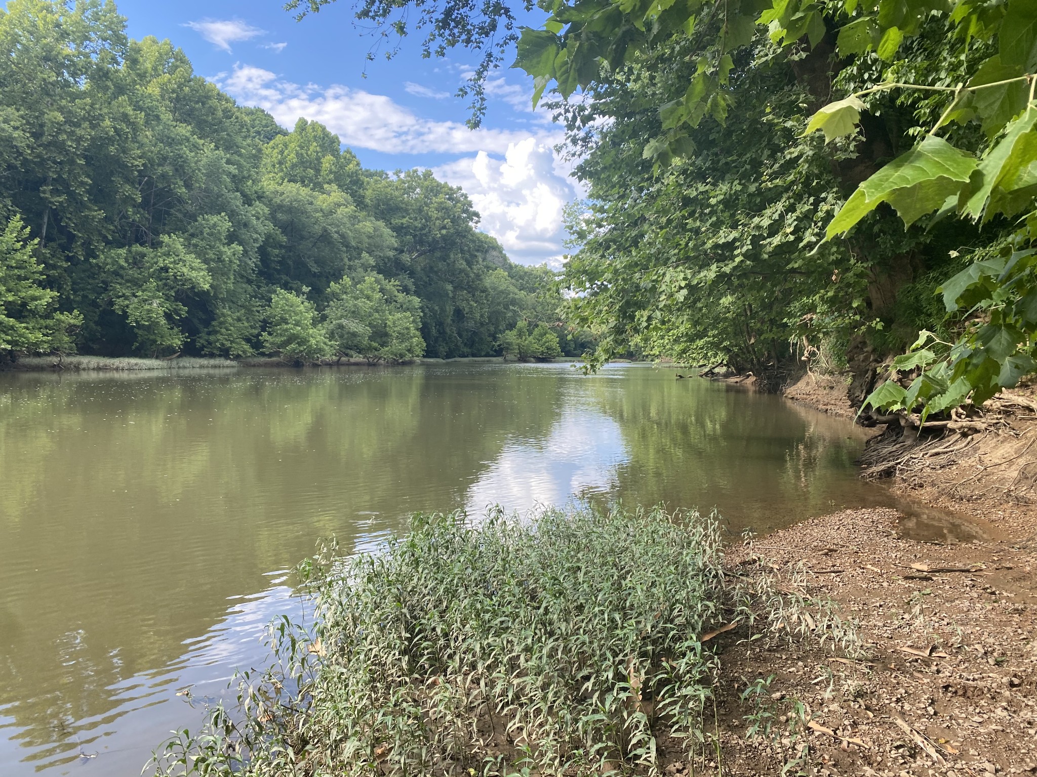 1613 Groveland Ridge Road Columbia, TN 38401 - Photo 4 of 39