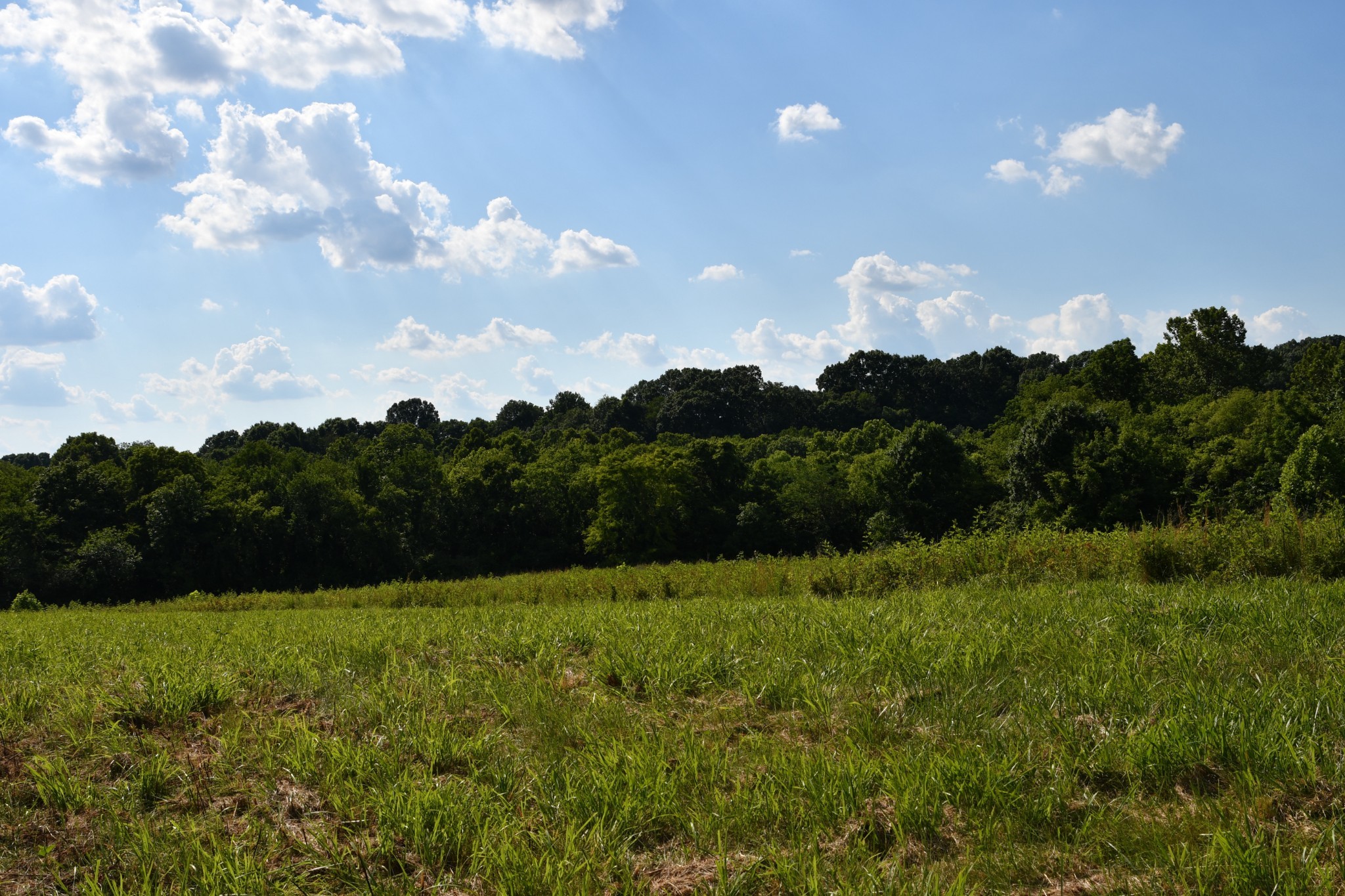 1613 Groveland Ridge Road Columbia, TN 38401 - Photo 31 of 39