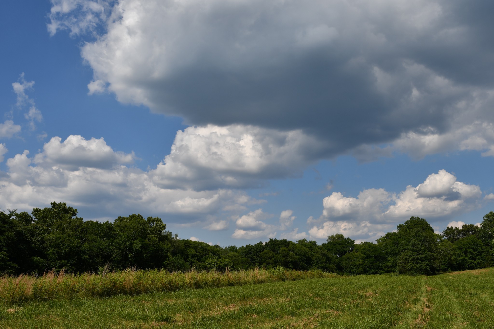 1613 Groveland Ridge Road Columbia, TN 38401 - Photo 32 of 39