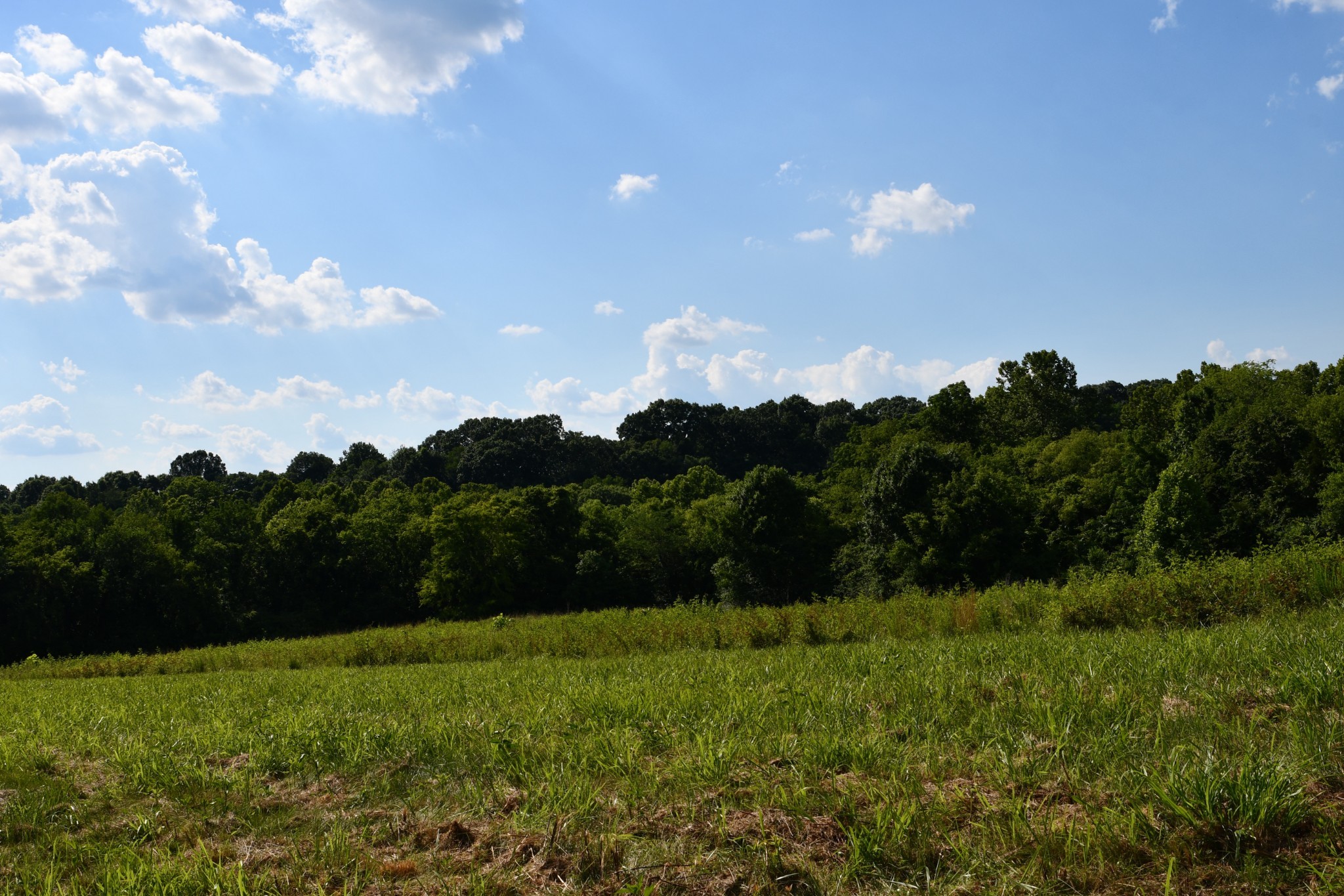 1613 Groveland Ridge Road Columbia, TN 38401 - Photo 8 of 39