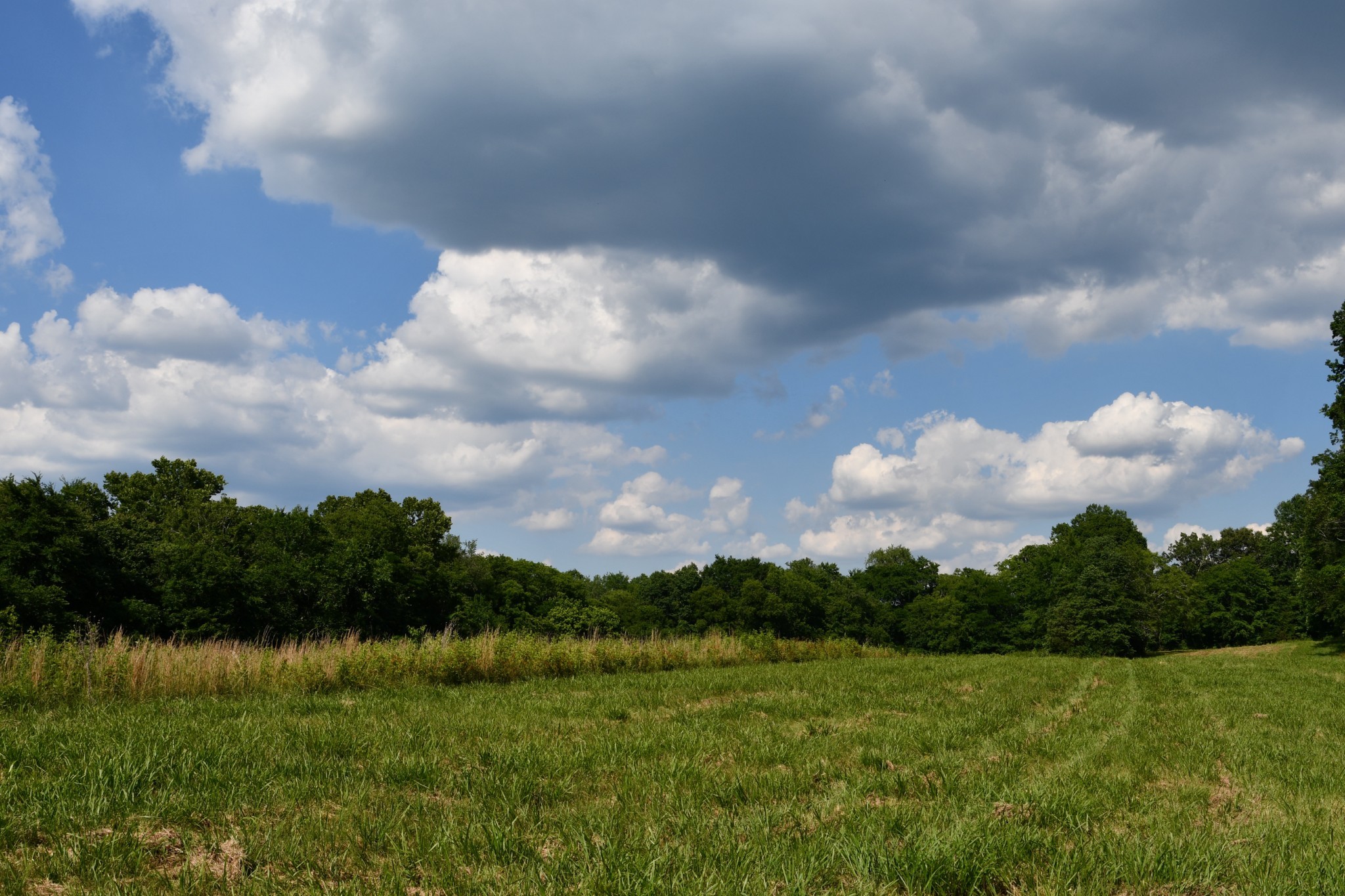 1613 Groveland Ridge Road Columbia, TN 38401 - Photo 9 of 39