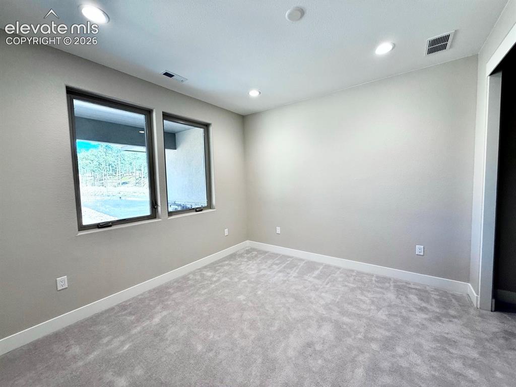 3135 Promise Point Colorado Springs, CO 80921 - Photo 25 of 29