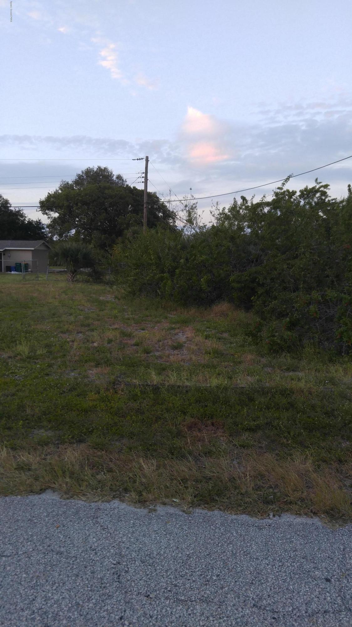 402 Carver Road Rockledge, FL 32955 - Photo 3 of 3 420-Lot 19 #2