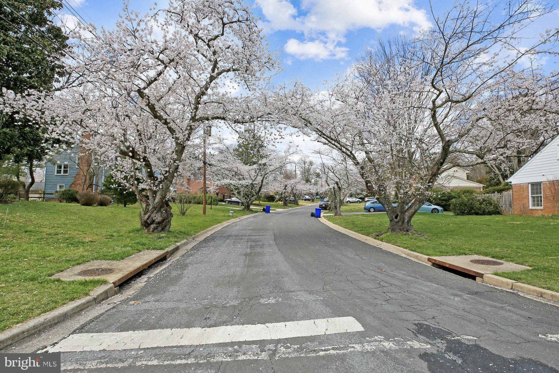 11310 Rolling House Road North Bethesda, MD 20852 - Photo 23 of 26 a park view with tree s