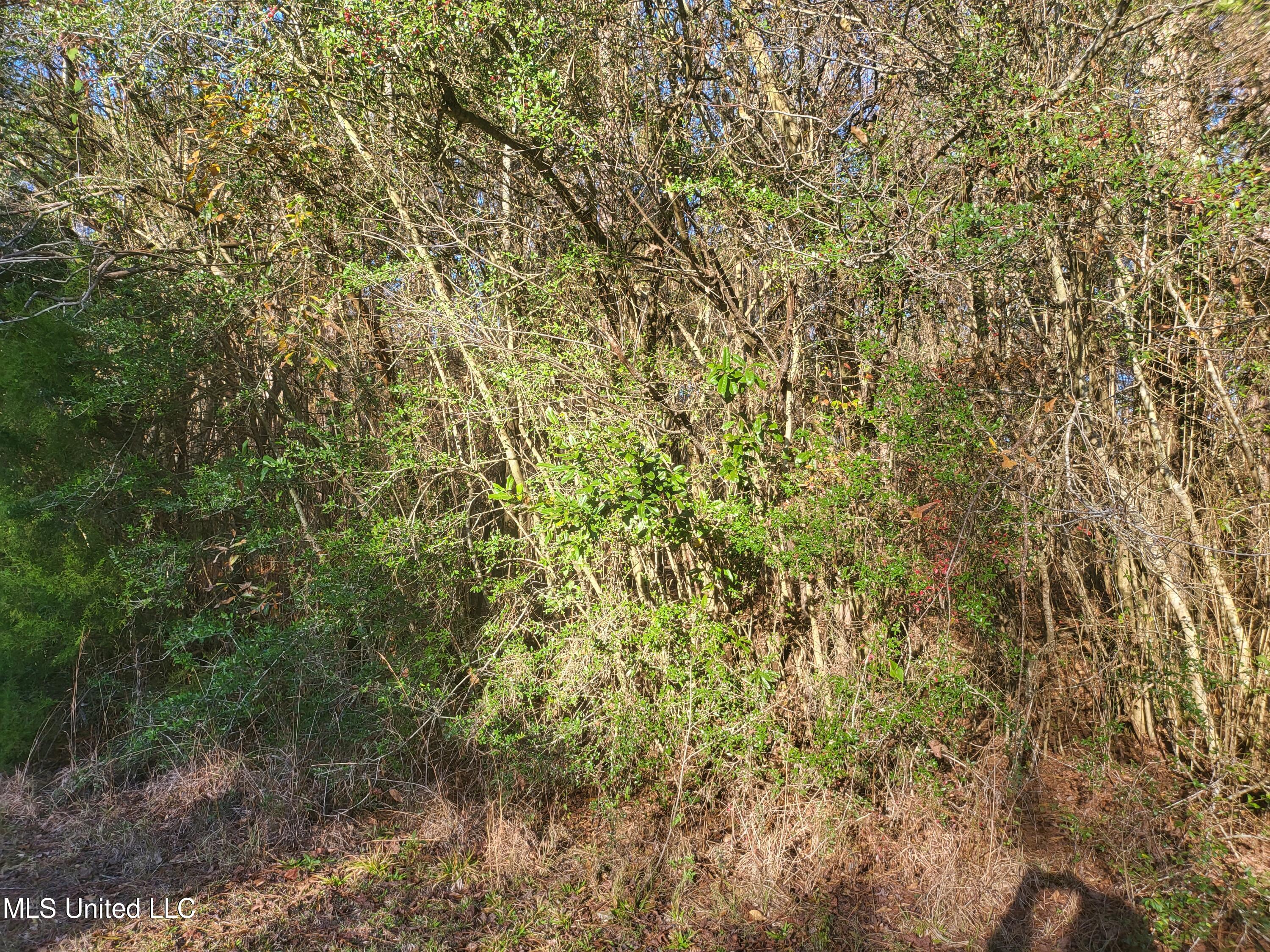 Fernwood Road McComb, MS 39648 - Photo 1 of 1 2.82 Acres Parcel# 712165