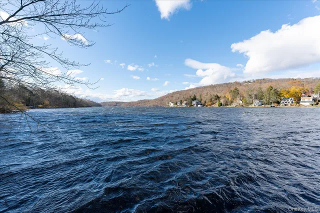 a view of a dry yard