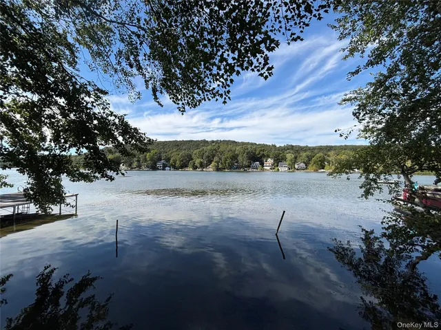 a view of a yard with plants and trees