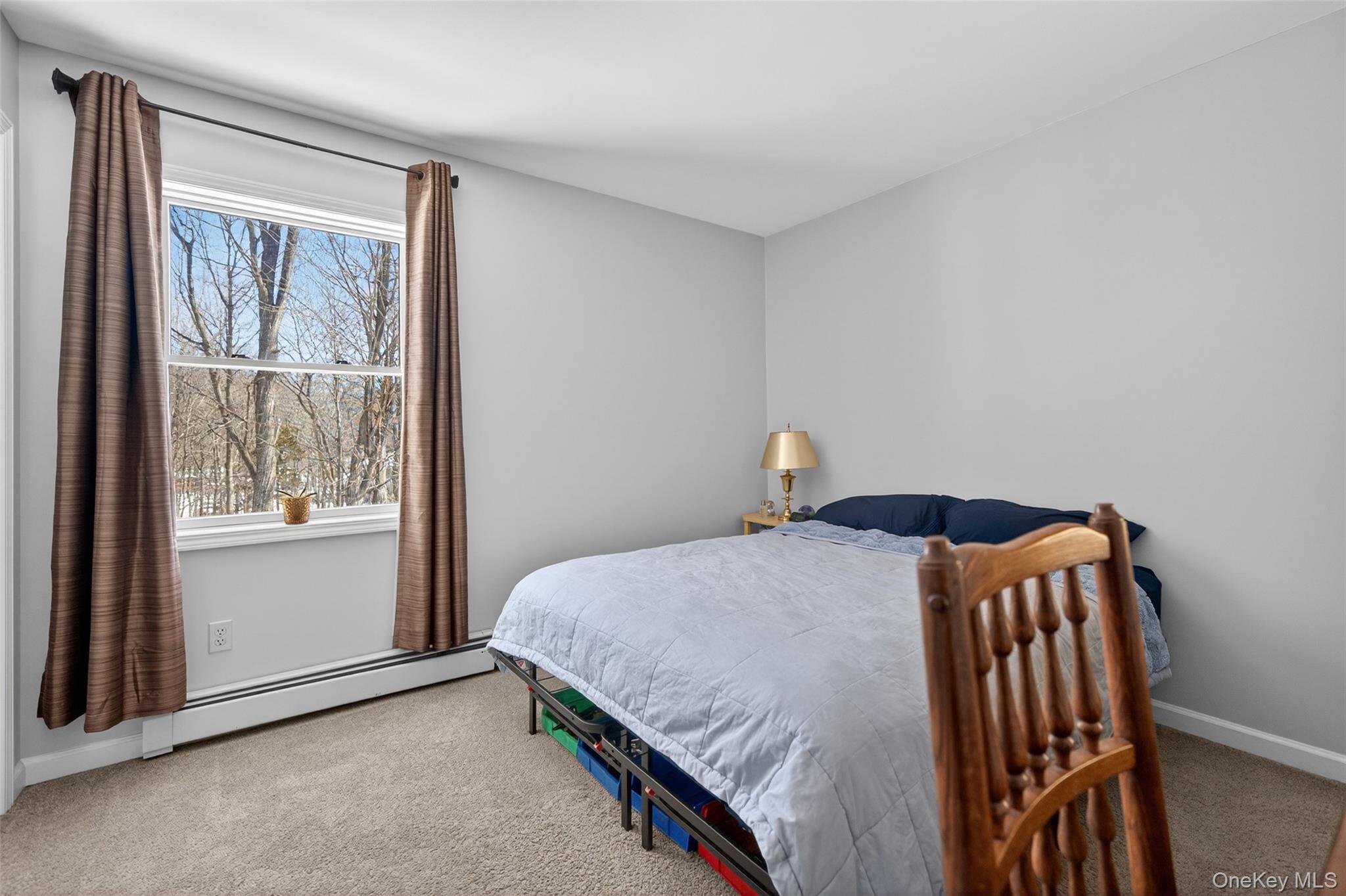 34 Booth Road Chester, NY 10918 - Photo 28 of 42 Carpeted bedroom