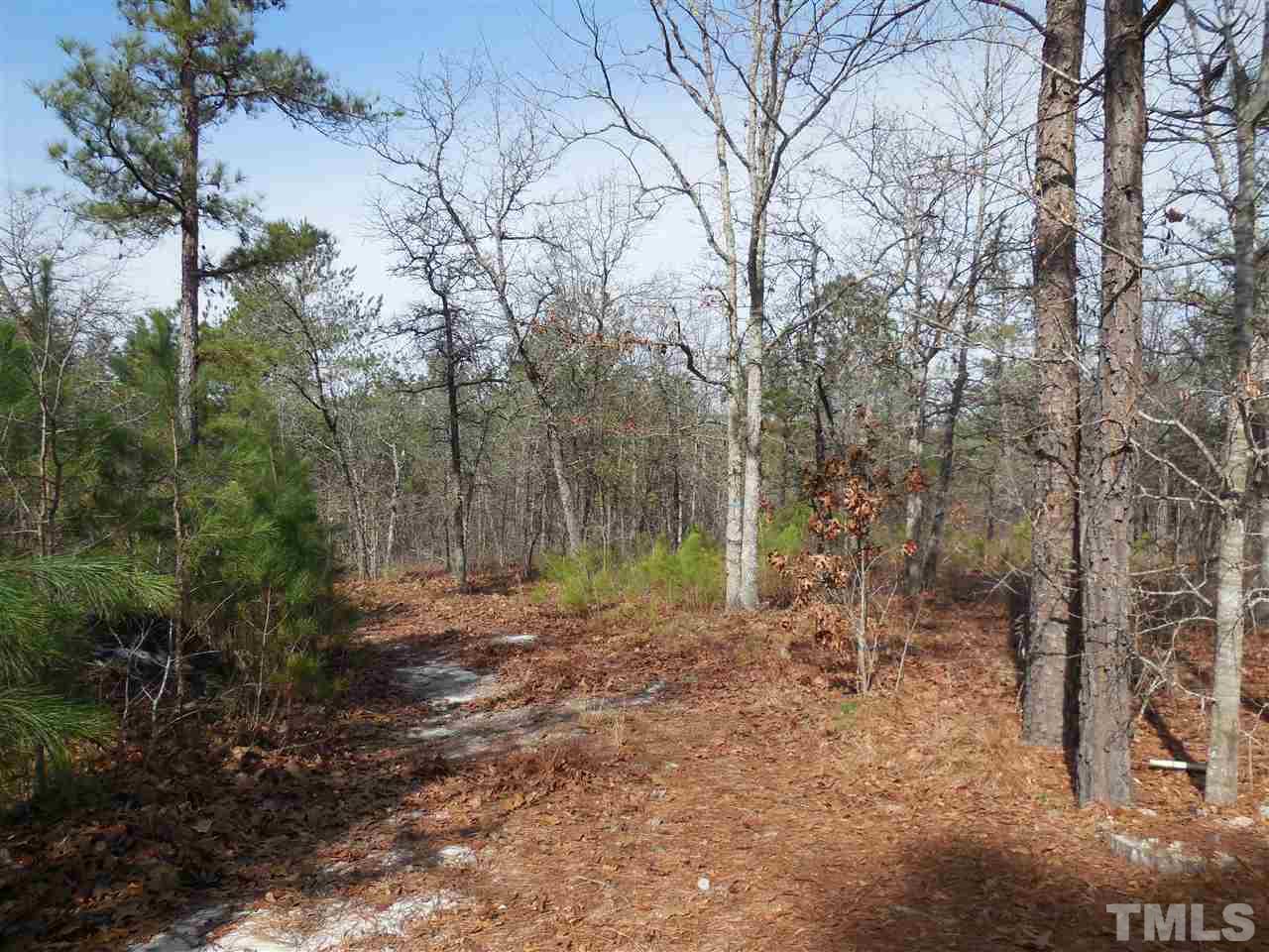 Dove Road Cameron, NC 28326 - Photo 3 of 5 Gallery Image 3