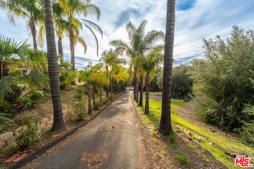 39700 Ave Arizona Temecula, CA 92591 - Photo 15 of 23 a view of a pathway with a yard