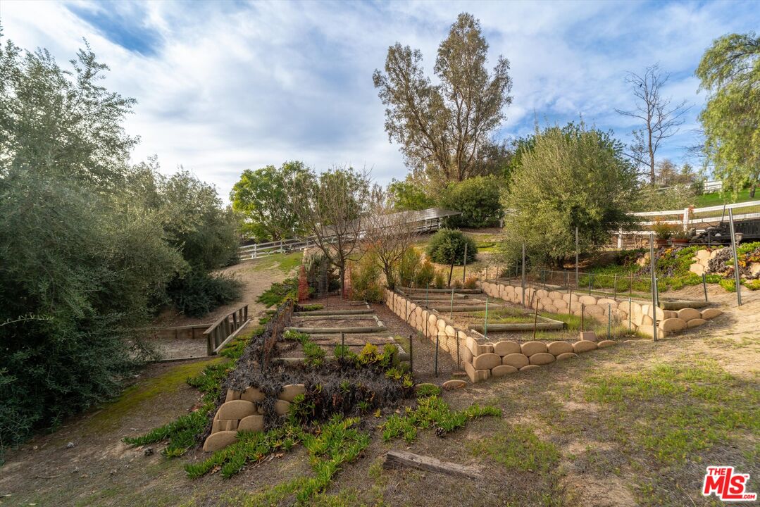 39700 Ave Arizona Temecula, CA 92591 - Photo 16 of 23 a view of a yard with plants