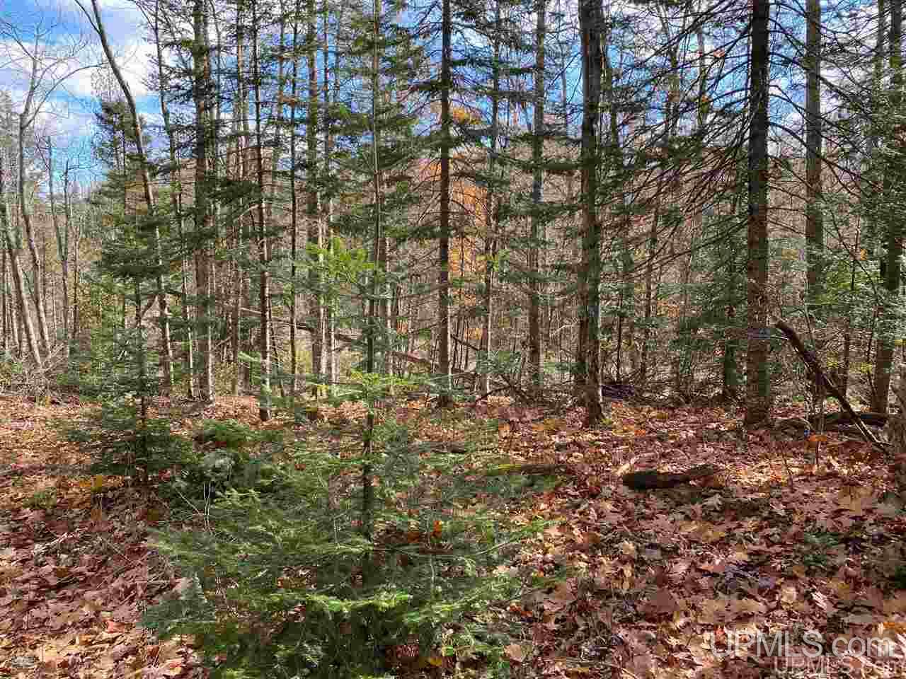 Tbd Lake Enchantment Road, Unit PARCEL 1 Marquette, MI 49855 - Photo 10 of 18