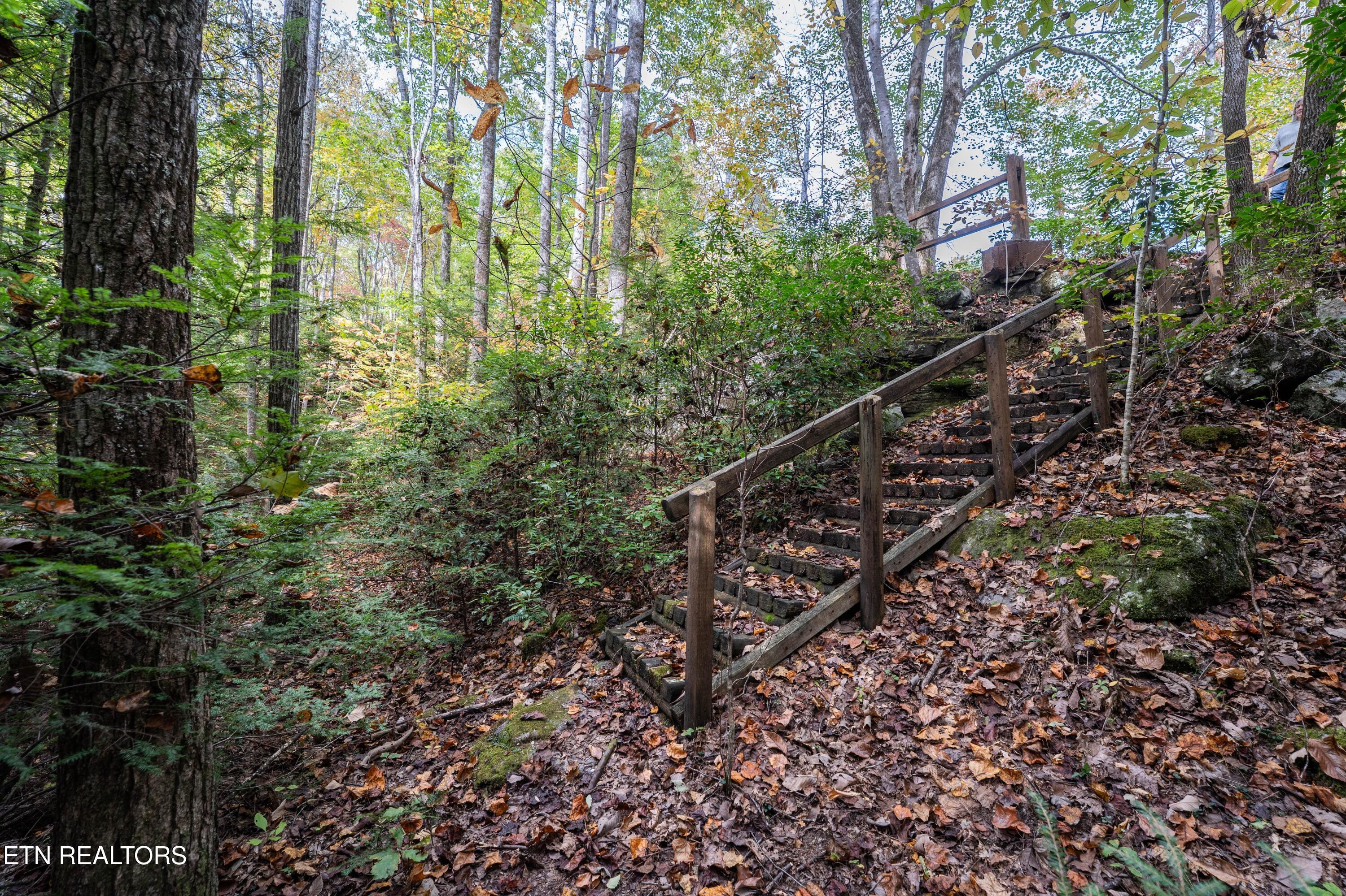 32 Reeves Place Monterey, TN 38574 - Photo 11 of 27 Stairs leading to creek and waterfalls