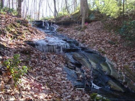 32 Reeves Place Monterey, TN 38574 - Photo 12 of 27 Creek