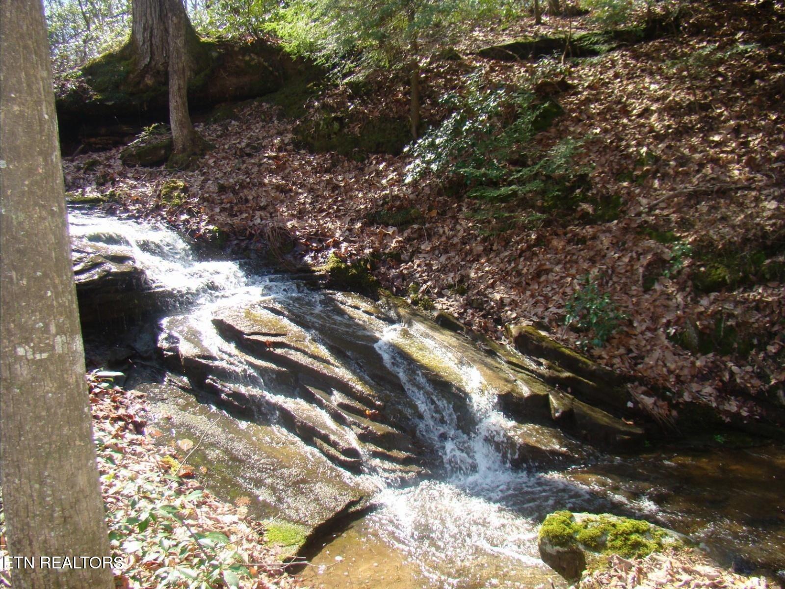 32 Reeves Place Monterey, TN 38574 - Photo 13 of 27 Creek2