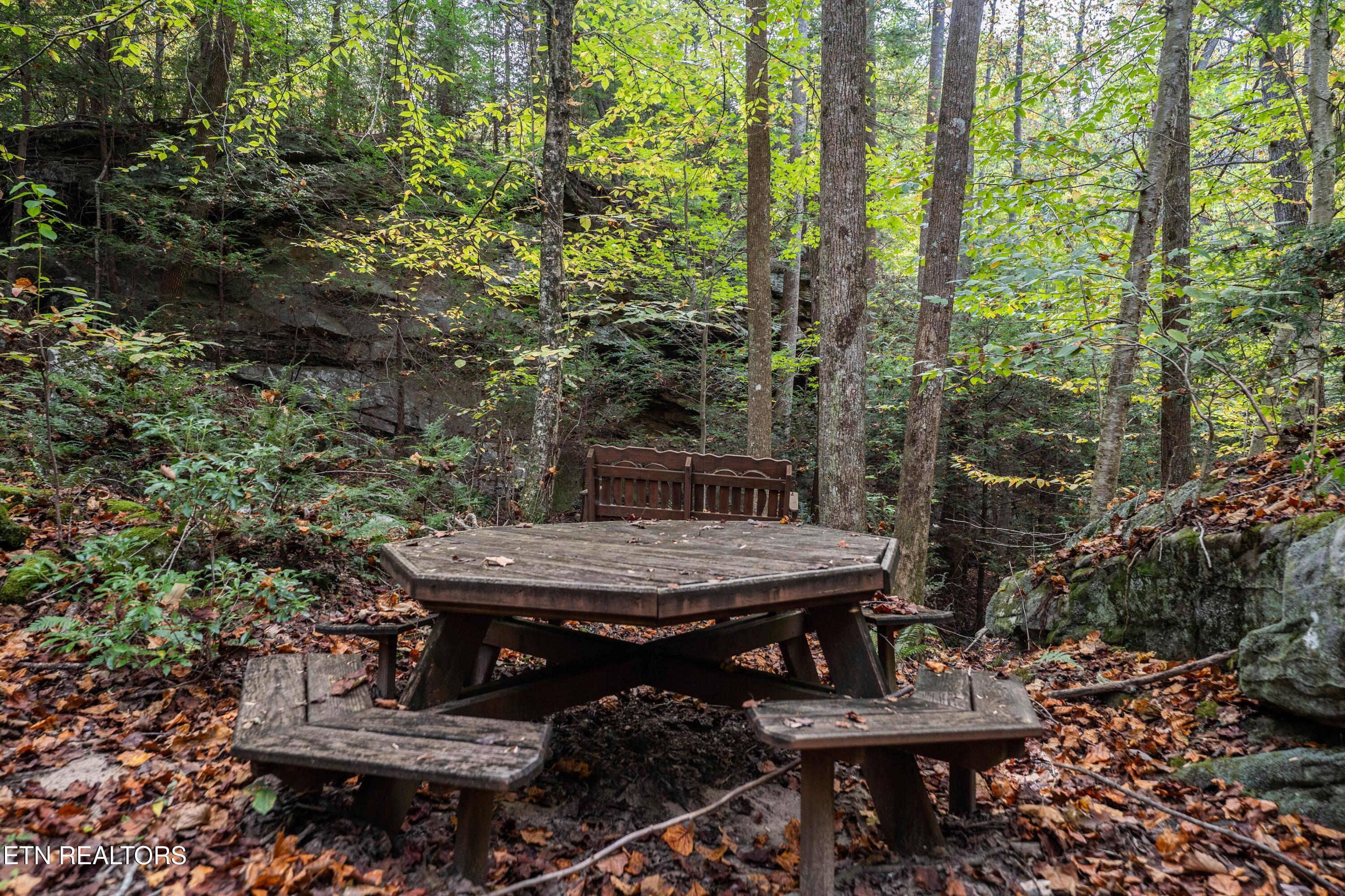 32 Reeves Place Monterey, TN 38574 - Photo 14 of 27 Picnic table by creek and waterfalls3
