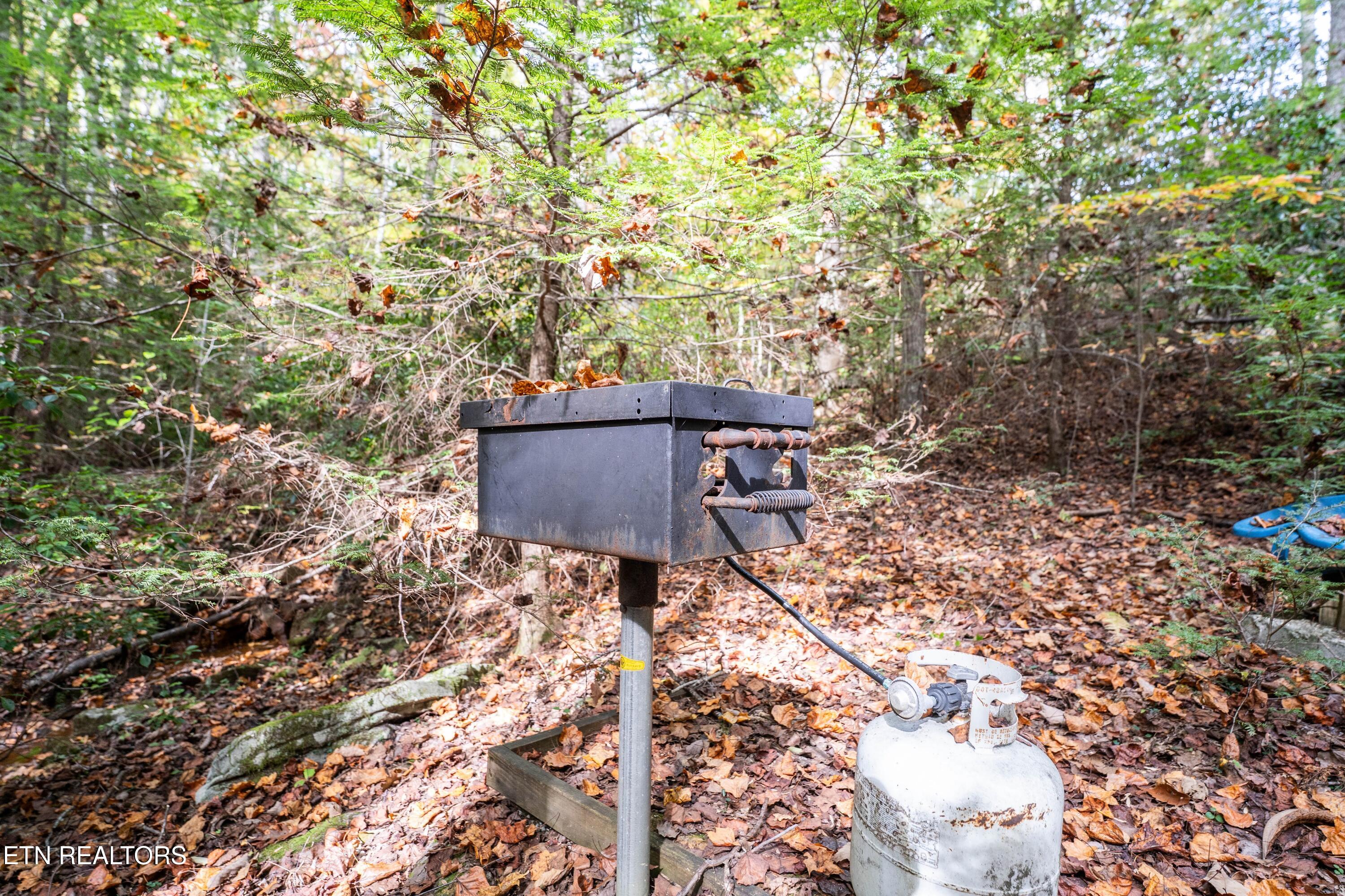 32 Reeves Place Monterey, TN 38574 - Photo 15 of 27 BBQ by creek