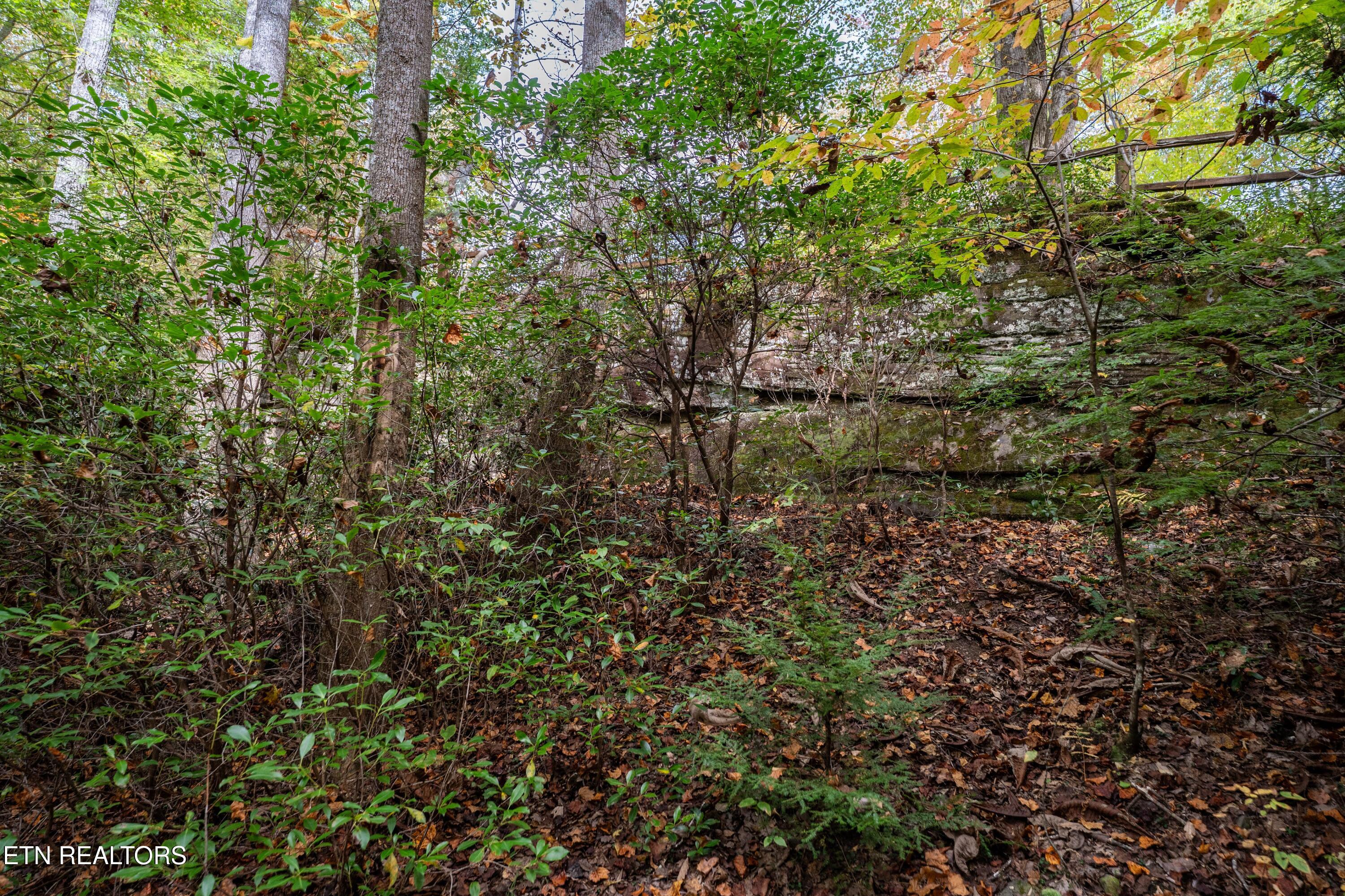 32 Reeves Place Monterey, TN 38574 - Photo 21 of 27 Rock formation