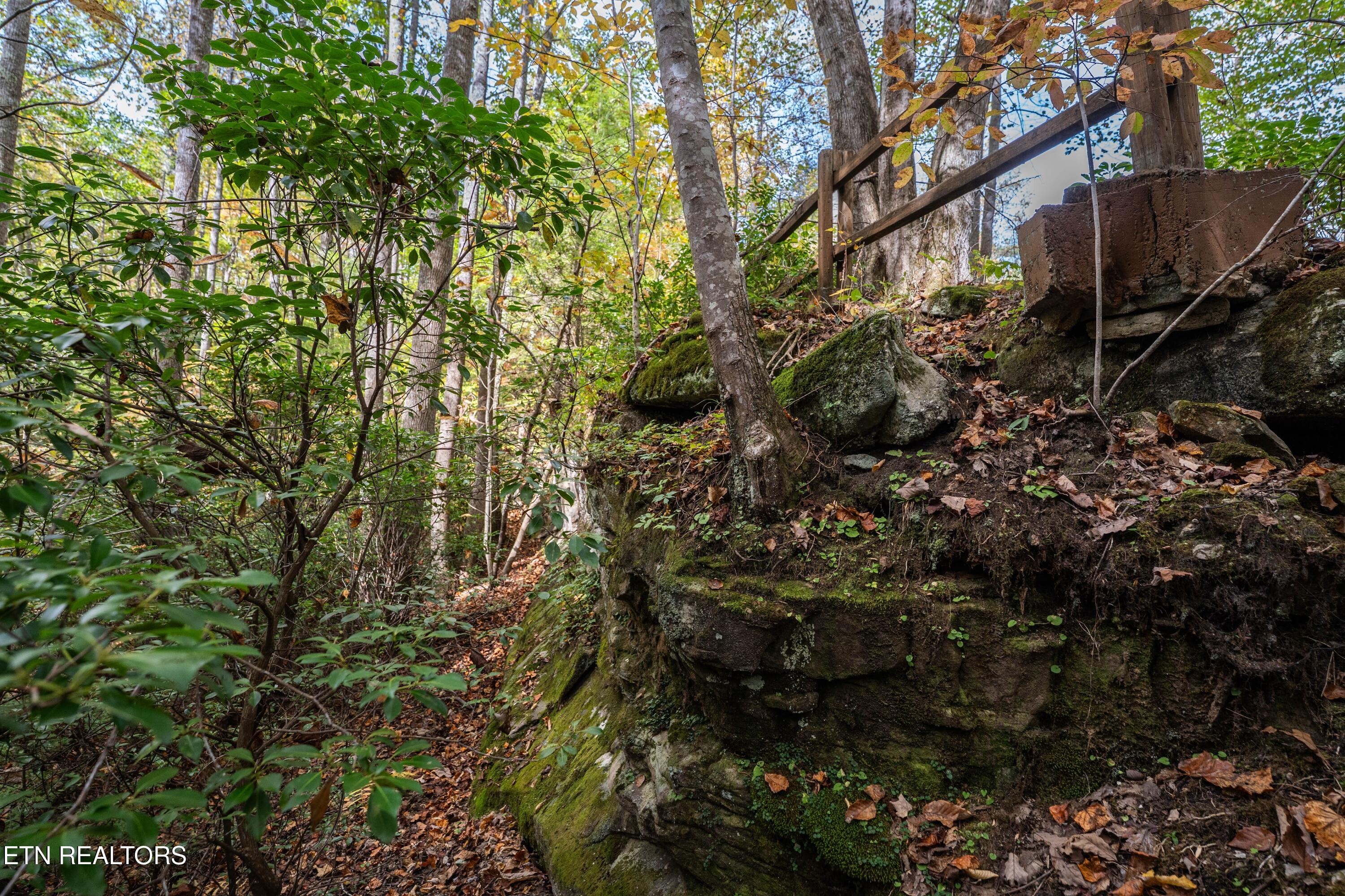 32 Reeves Place Monterey, TN 38574 - Photo 22 of 27 Rock formation2