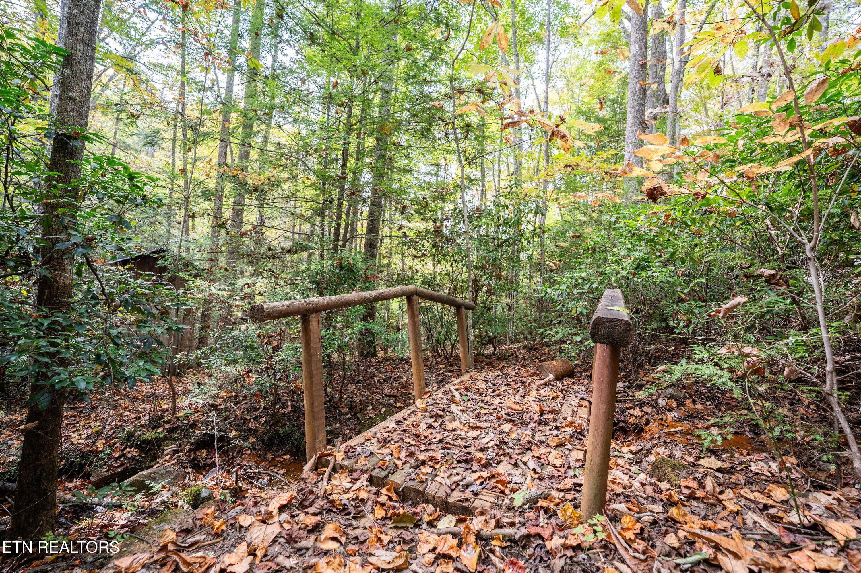 32 Reeves Place Monterey, TN 38574 - Photo 23 of 27 Bridge to out house