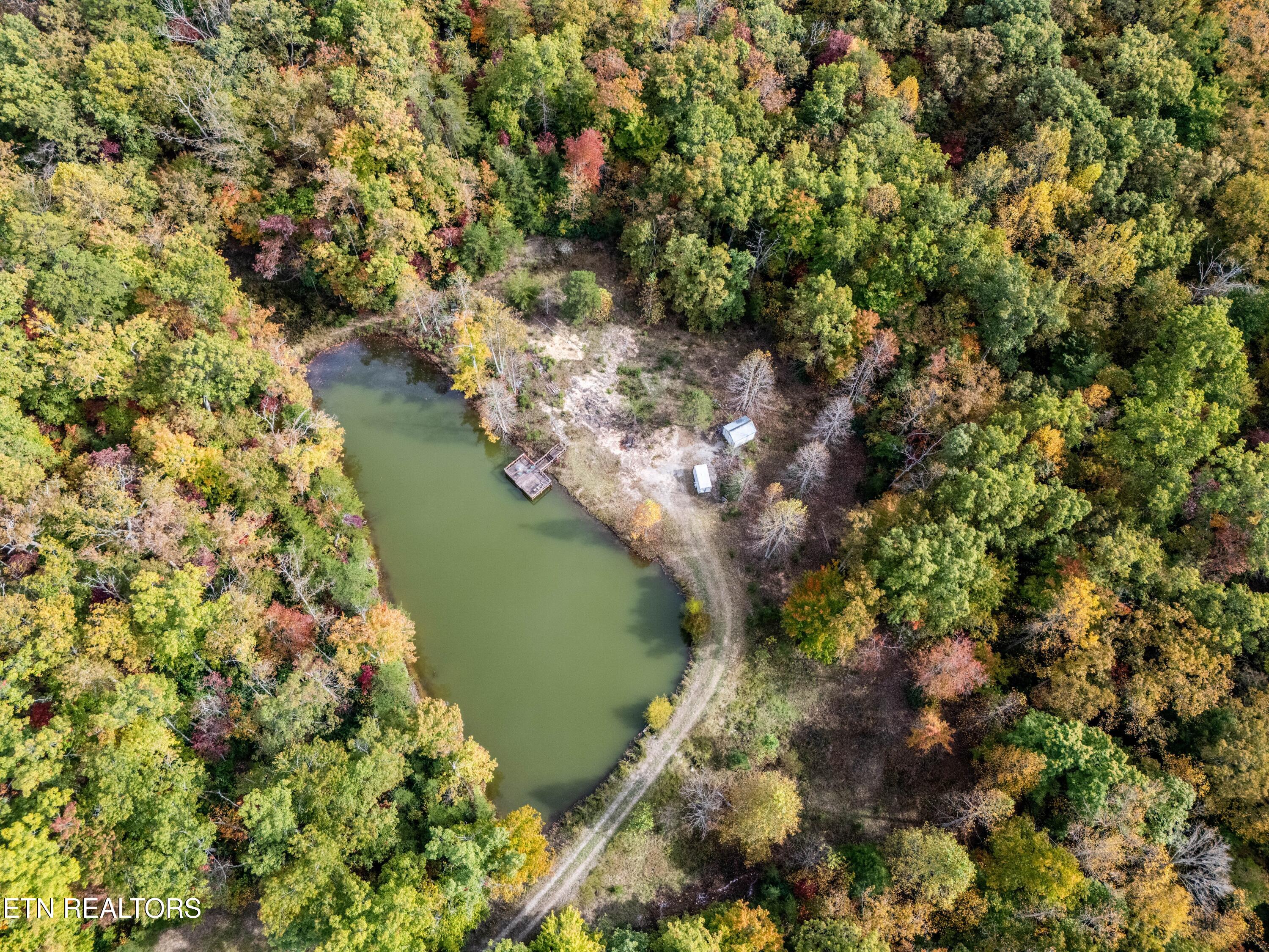 32 Reeves Place Monterey, TN 38574 - Photo 25 of 27 Privacy and peace