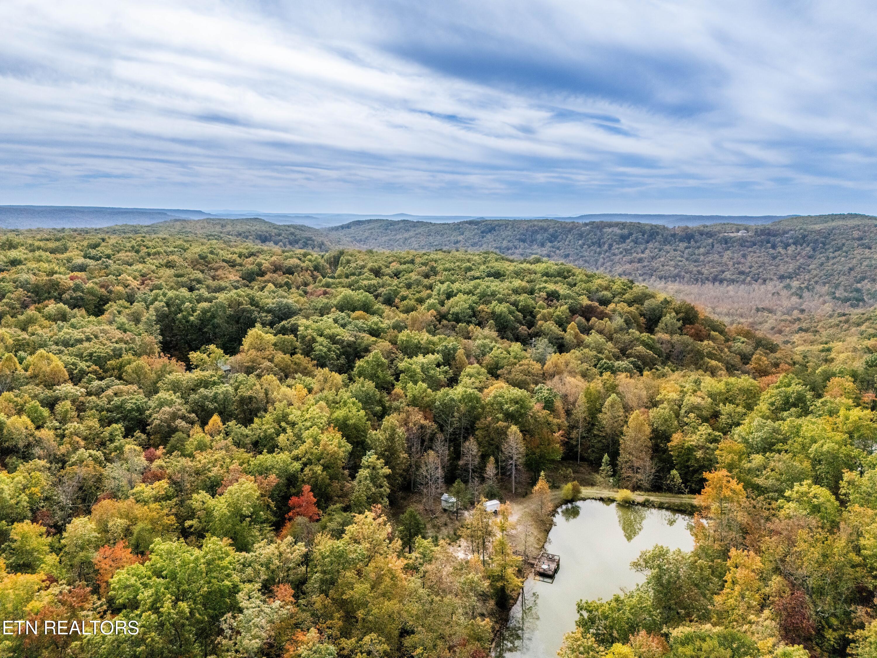 32 Reeves Place Monterey, TN 38574 - Photo 26 of 27 Privacy and peace2