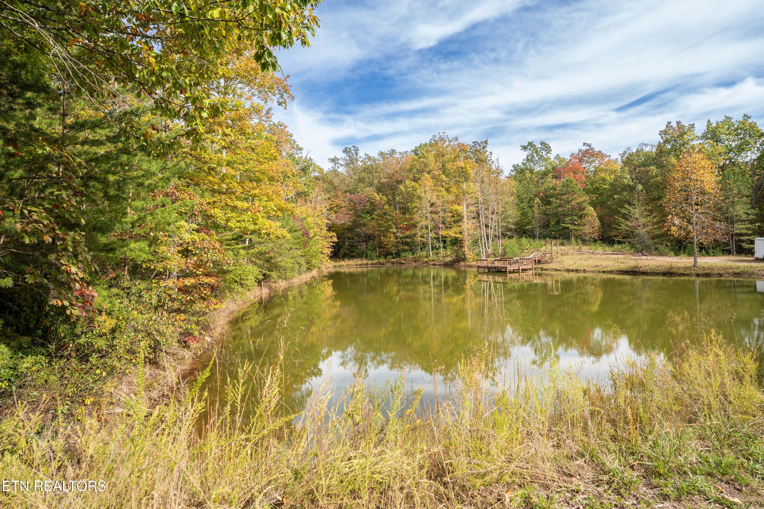32 Reeves Place Monterey, TN 38574 - Photo 4 of 27 Large Pond