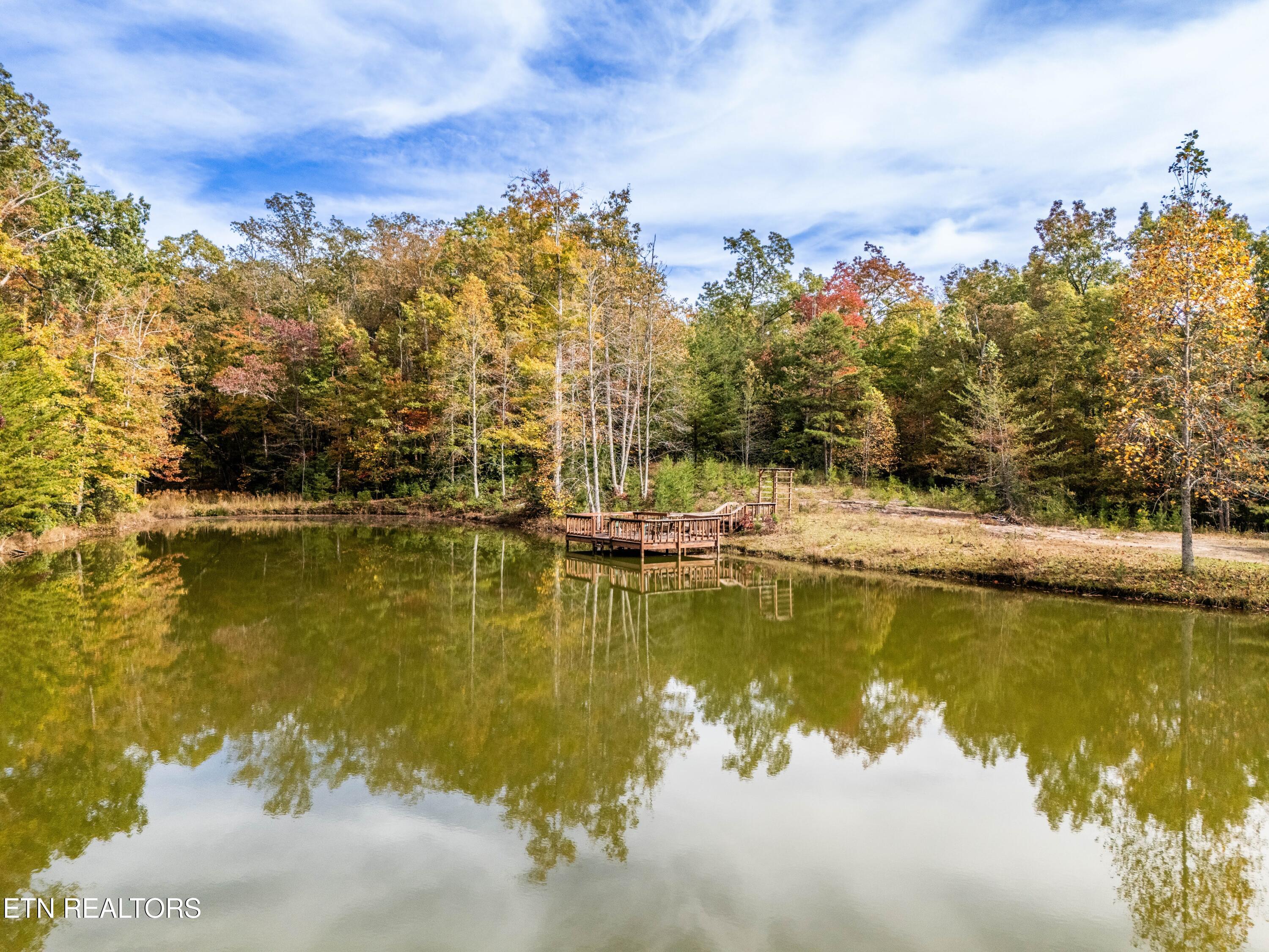 32 Reeves Place Monterey, TN 38574 - Photo 5 of 27 Large pond2