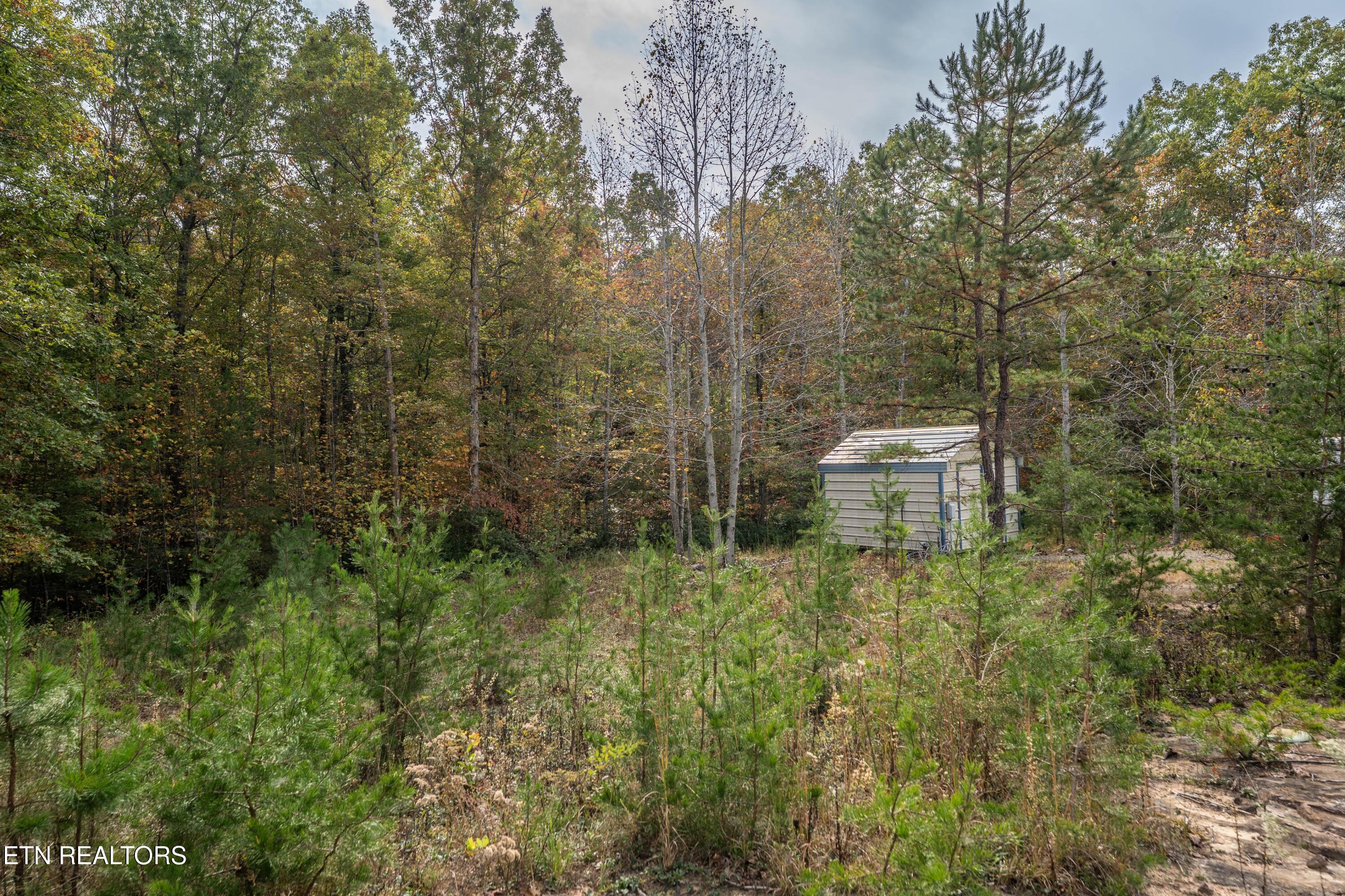 32 Reeves Place Monterey, TN 38574 - Photo 8 of 27 Shed with electric and water