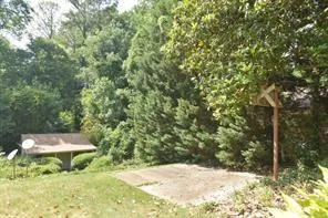 a view of a yard with plants and tree
