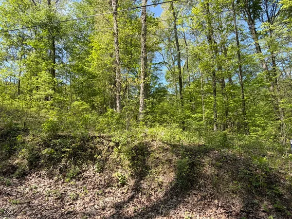 $65,000 | 0 Straight Line Road, Coal City, IN 47427