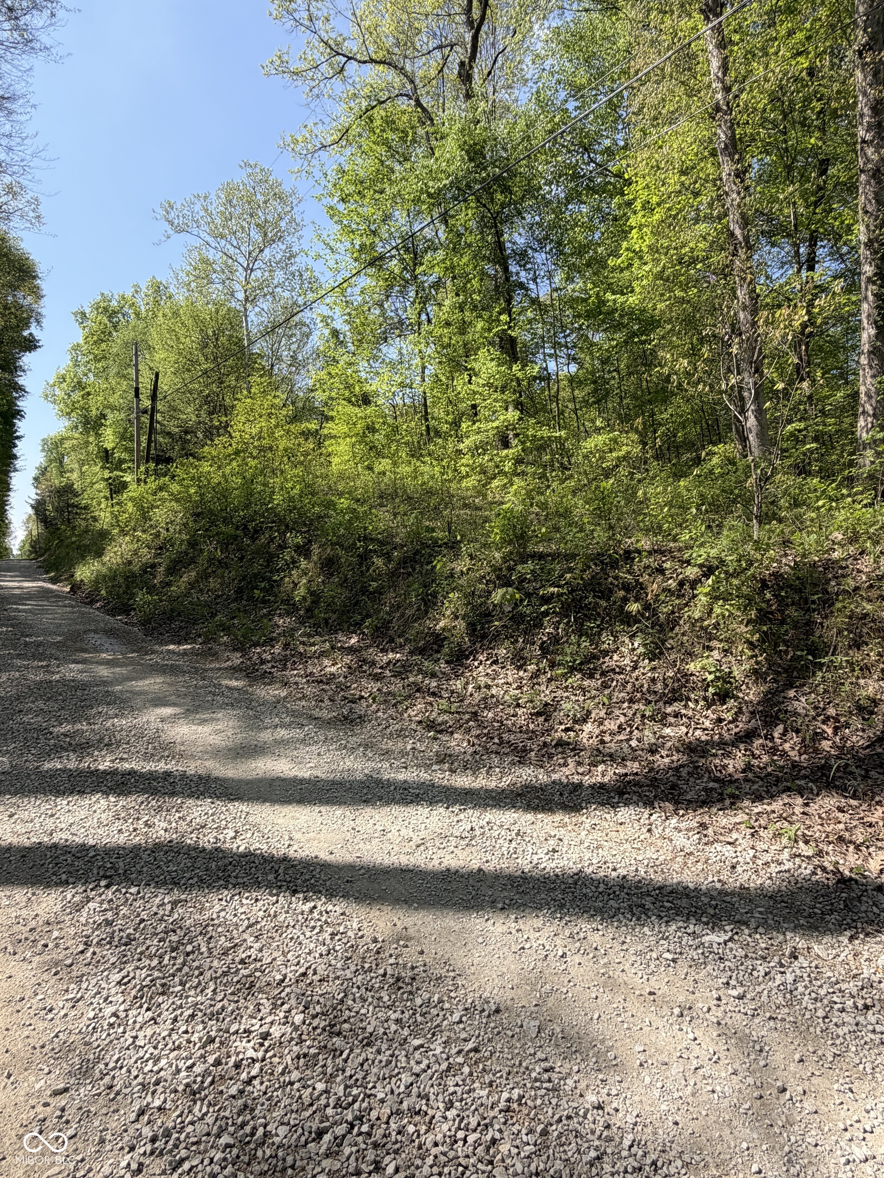 0 Straight Line Road Coal City, IN 47427 - Photo 2 of 5