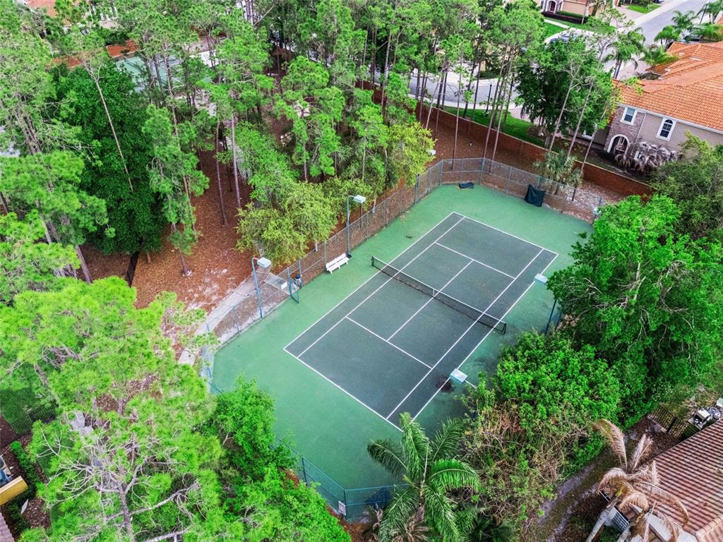 8830 Grey Hawk Point Orlando, FL 32836 - Photo 71 of 71