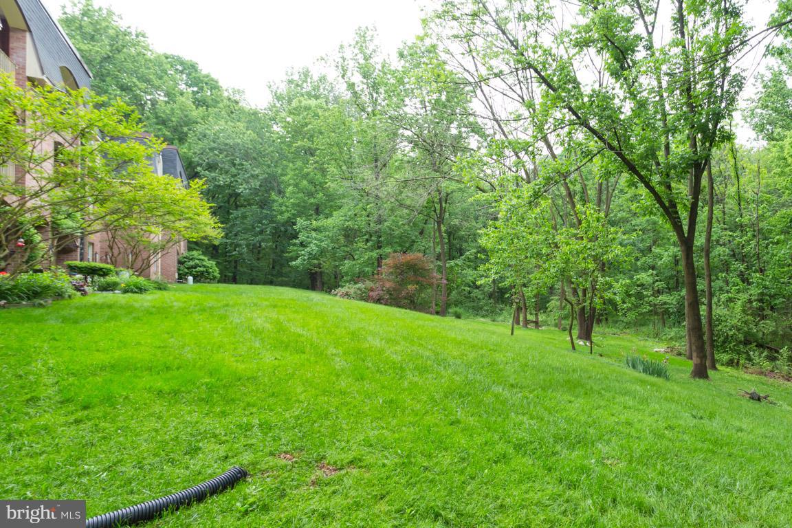 8110 Colony Point Road, Unit K Springfield, VA 22152 - Photo 25 of 30 a view of green field with trees in the background