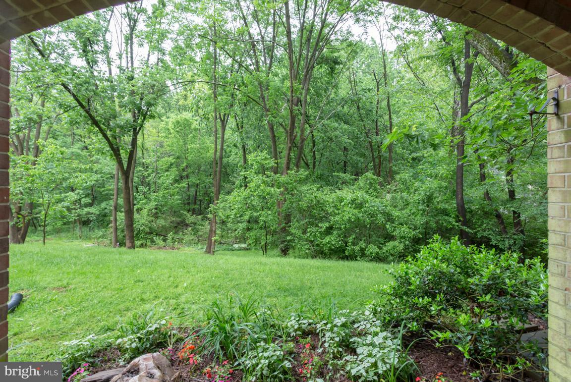 8110 Colony Point Road, Unit K Springfield, VA 22152 - Photo 26 of 30 a view of green field with trees in the background