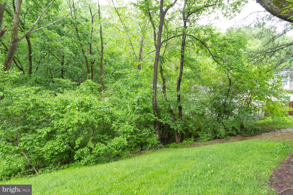 8110 Colony Point Road, Unit K Springfield, VA 22152 - Photo 27 of 30 a view of a lush green forest