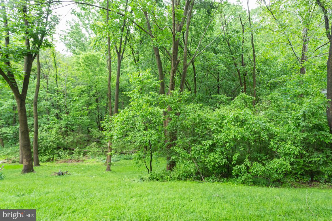 8110 Colony Point Road, Unit K Springfield, VA 22152 - Photo 28 of 30 a view of yard with green space