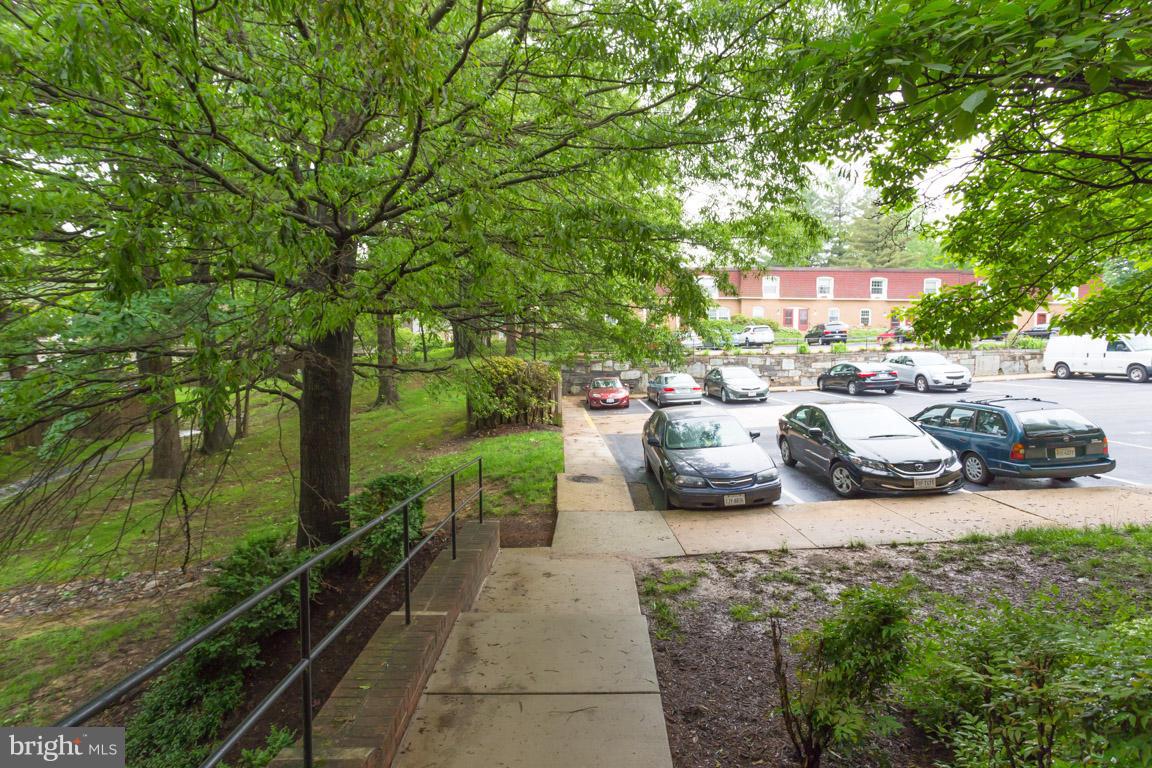 8110 Colony Point Road, Unit K Springfield, VA 22152 - Photo 4 of 30 a view of a patio with couches table and chairs and potted plants