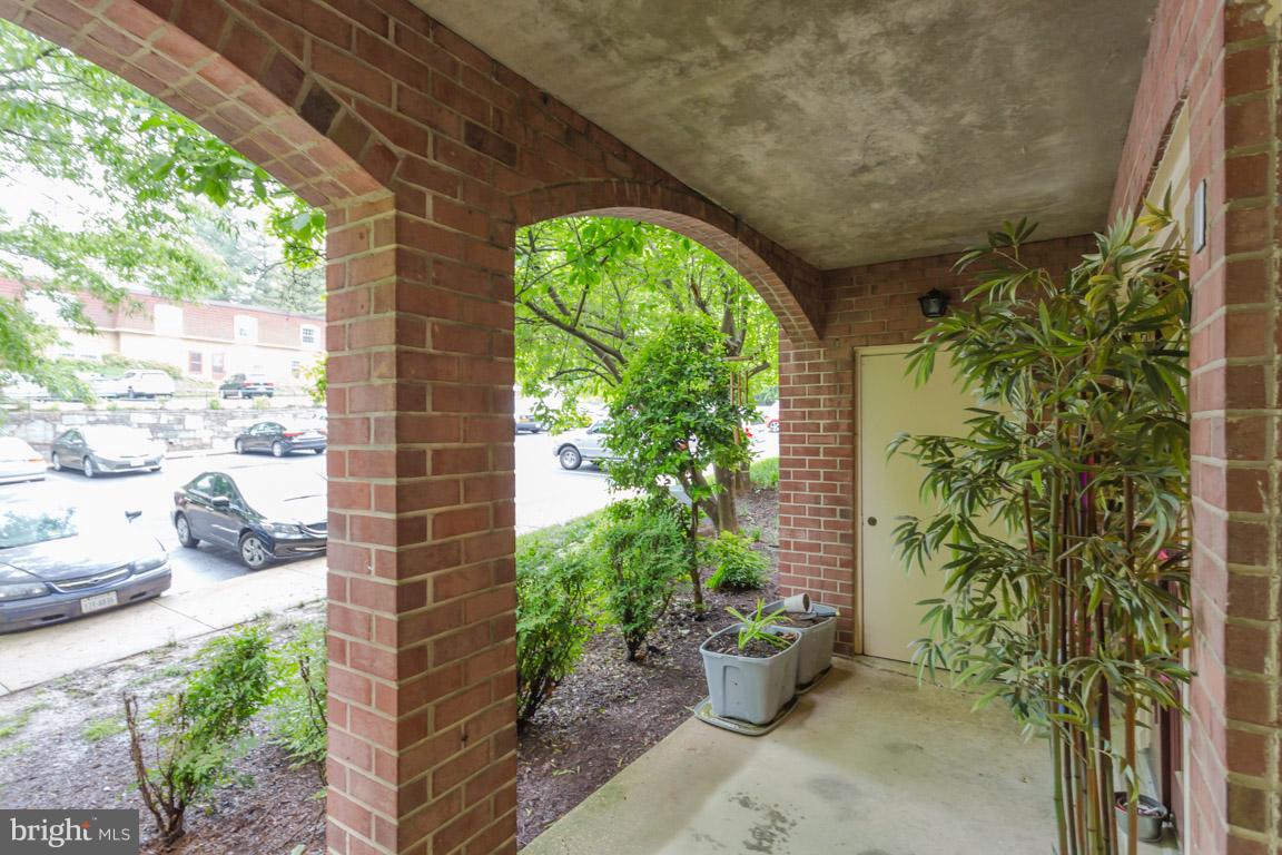8110 Colony Point Road, Unit K Springfield, VA 22152 - Photo 5 of 30 a view of a garden with plants