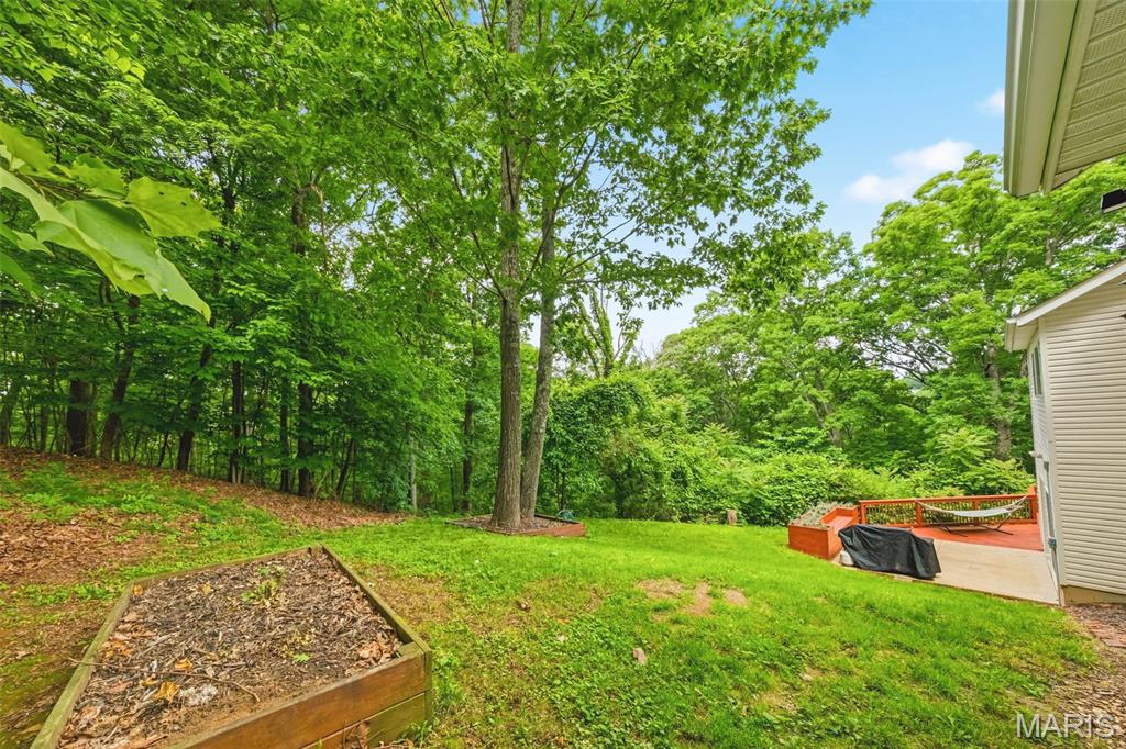 609 Hoene Ridge Estates Drive Eureka, MO 63025 - Photo 37 of 45